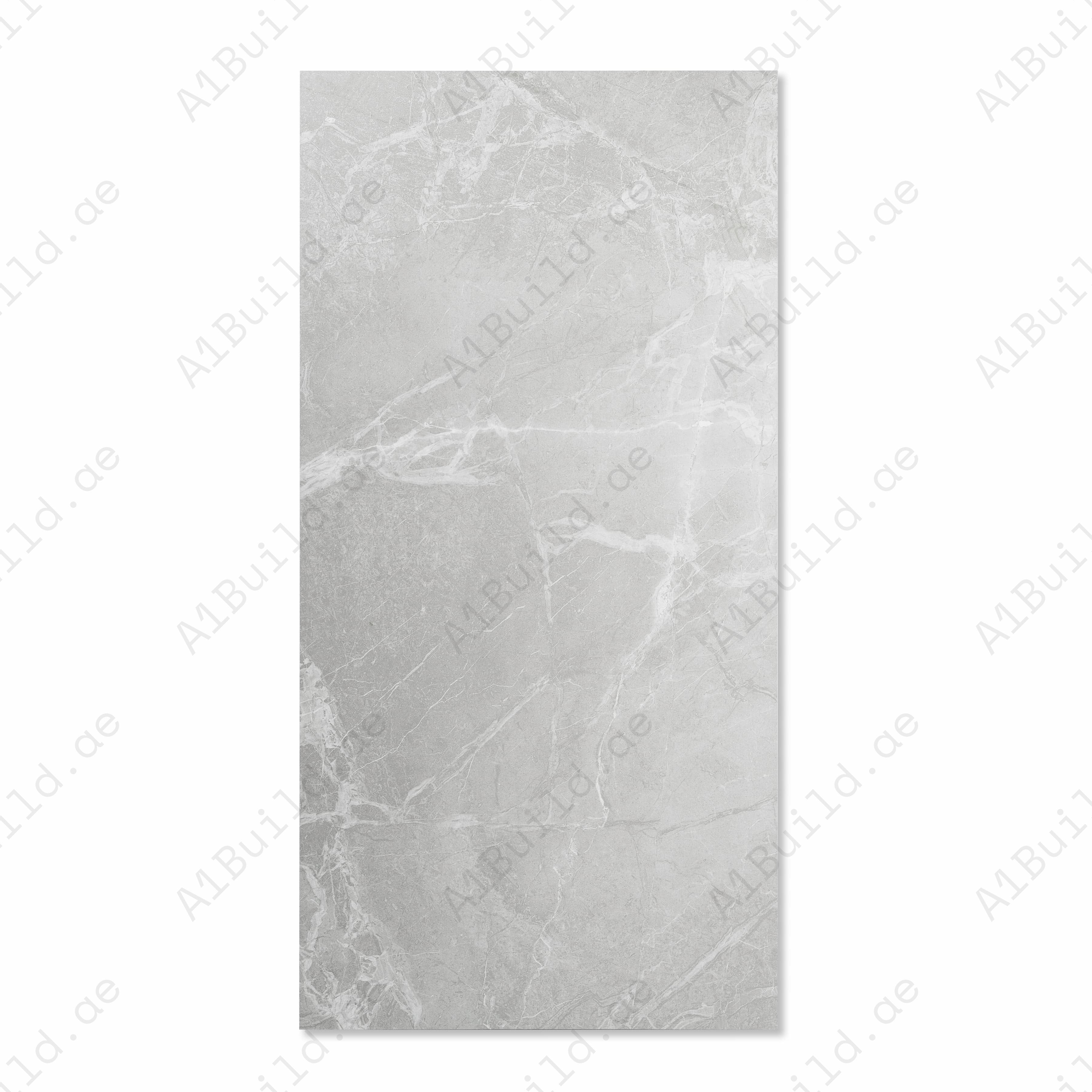BRGris Light Grey Matte Porcelain Tile 60x120cm | Silver White Veined Marble Look Large Format | Contemporary Floor & Wall Tile UAE