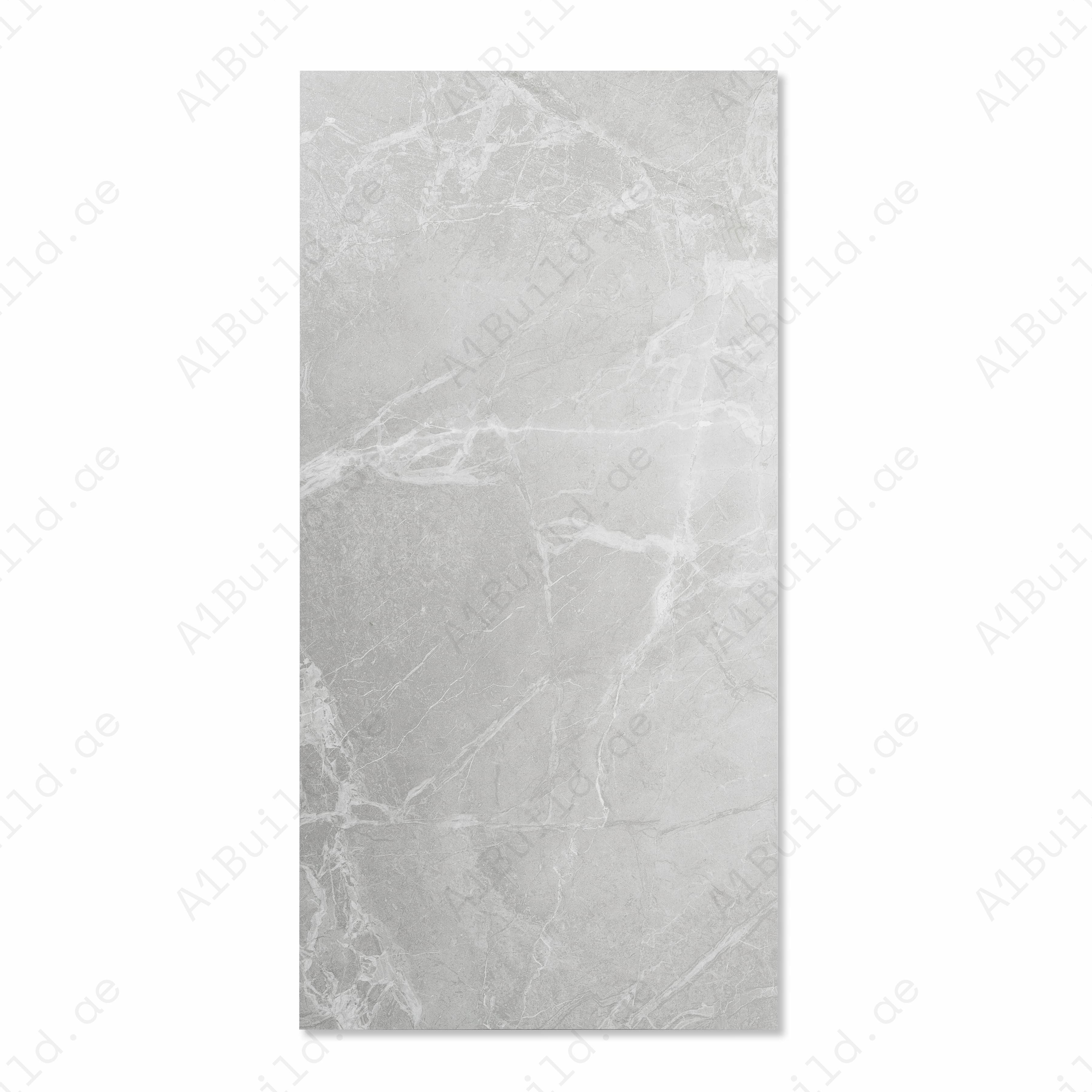 BRGris Light Grey Matte Porcelain Tile 60x120cm | Silver White Veined Marble Look Large Format | Contemporary Floor & Wall Tile UAE