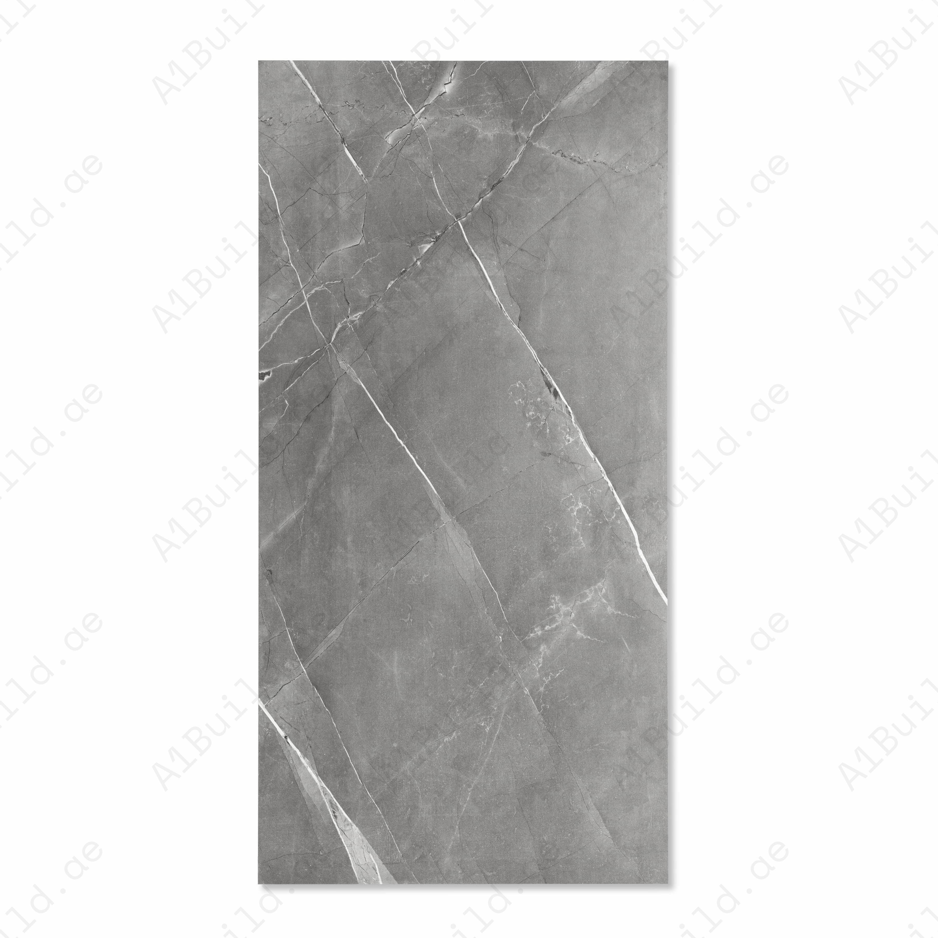 Liza Grey Matte Porcelain Tile 60x120cm | Bold Grey Marble Look Large Format Floor & Wall Tile | Contemporary Stone Flooring UAE