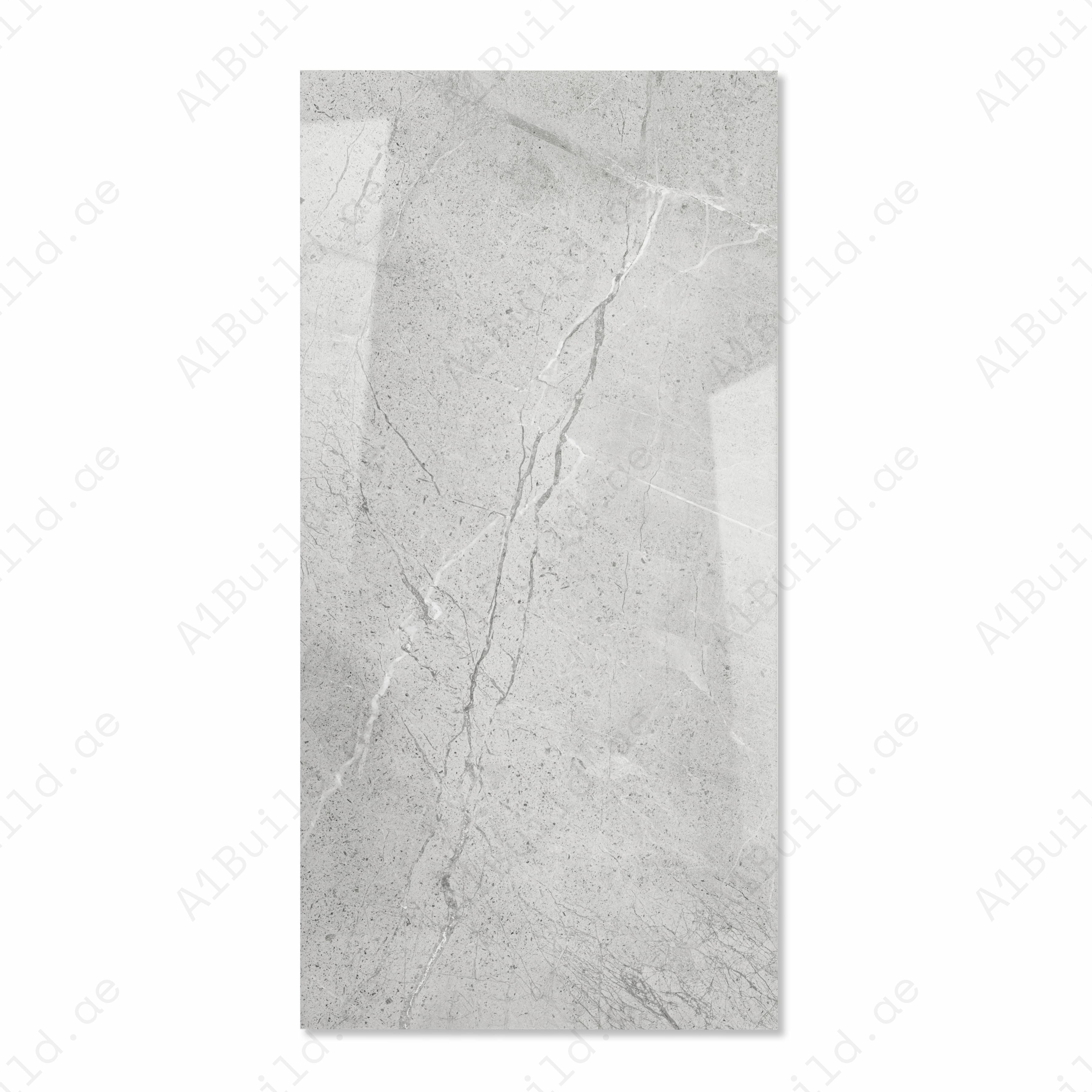 Venila Grey Glossy Porcelain Tile 60x120cm | Textured Stone Marble Look | Large Format Floor & Wall Tile UAE