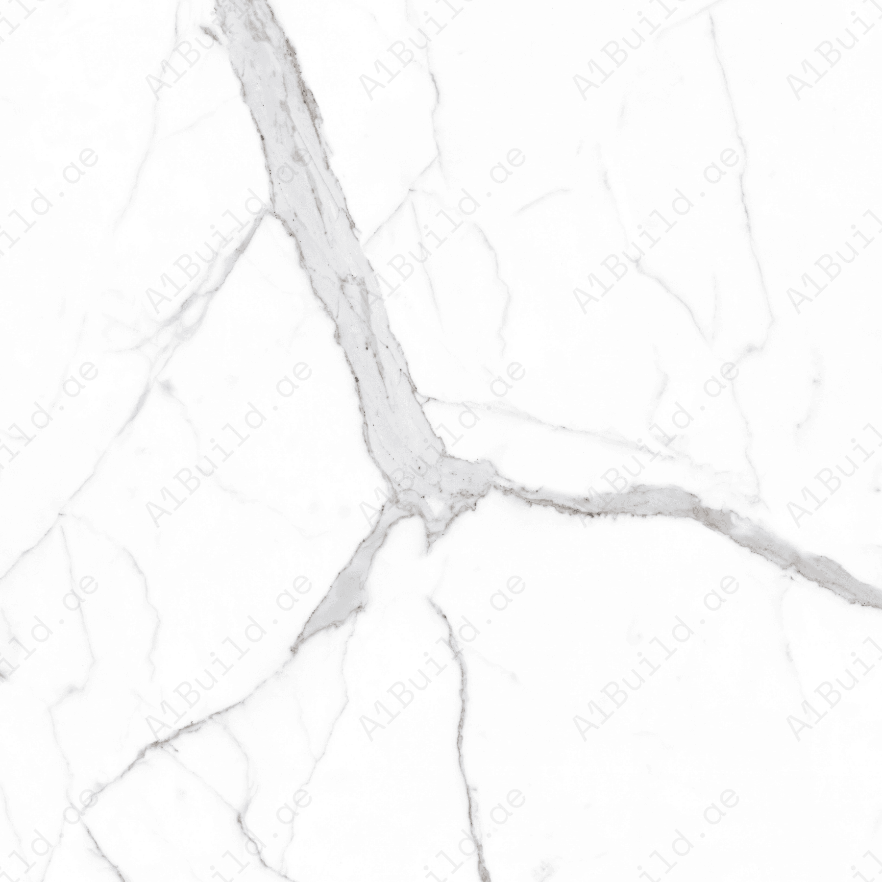 Alps Natural Statuario (120X120cm 09mm Random Polish Porcelain Tiles for Indoor Spaces)
