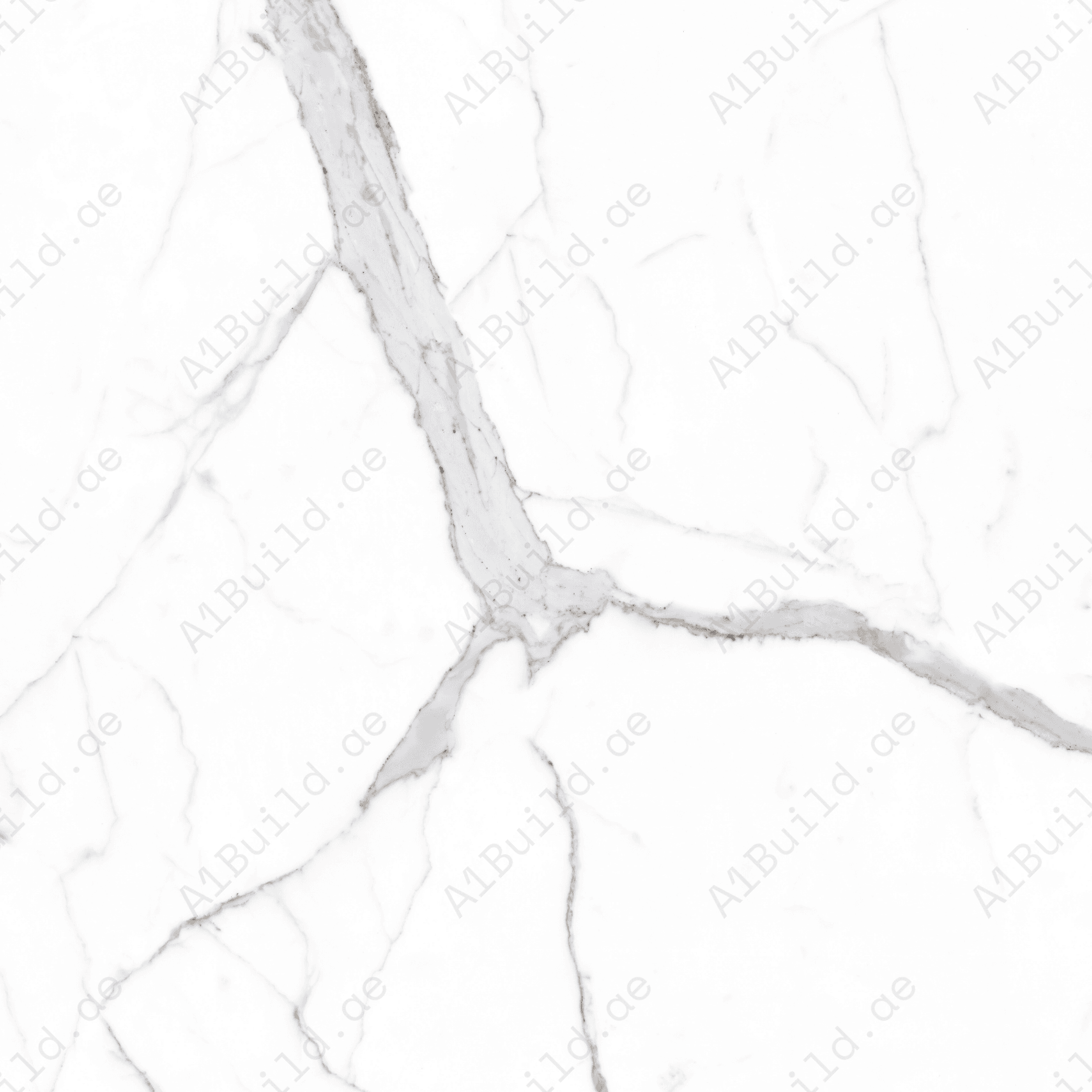 Alps Natural Statuario (120X120cm 09mm Random Polish Porcelain Tiles for Indoor Spaces)
