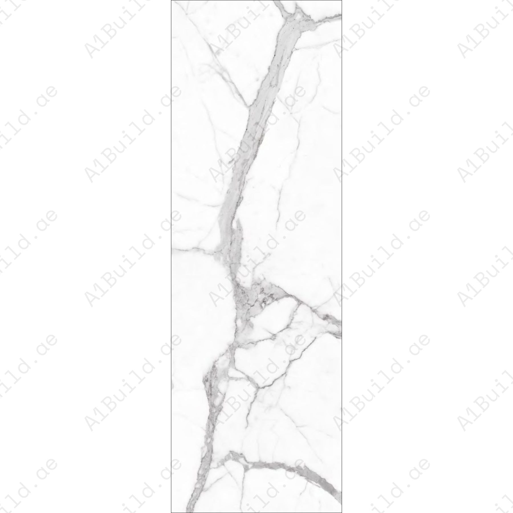 Alps Statuario (80x240cm 15mm Random Polished Finish Indoor Floor, Wall & Counter Slabs)