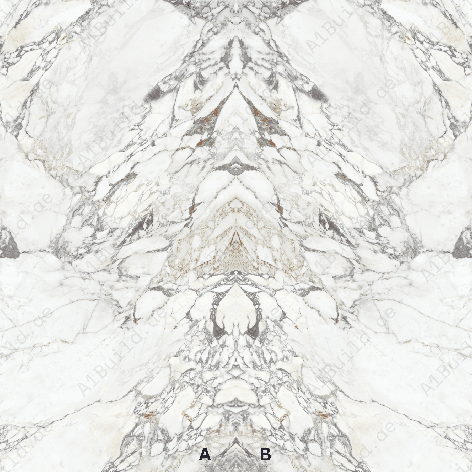 Arbescato (120X278cm High Gloss Book Match Porcelain Slabs)