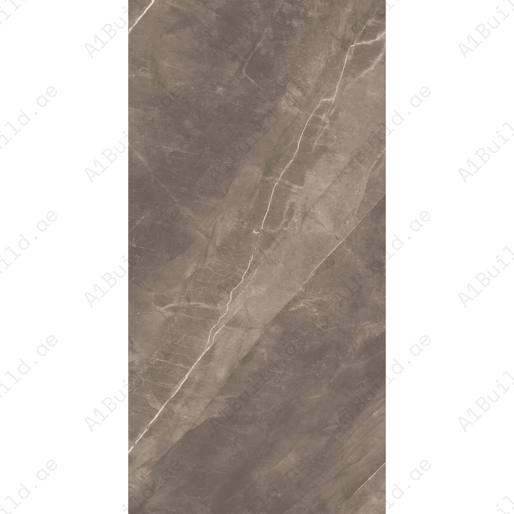 Armani Grey (60X120cm 09mm Random Glossy Porcelain Indoor Floor & Wall Tiles)