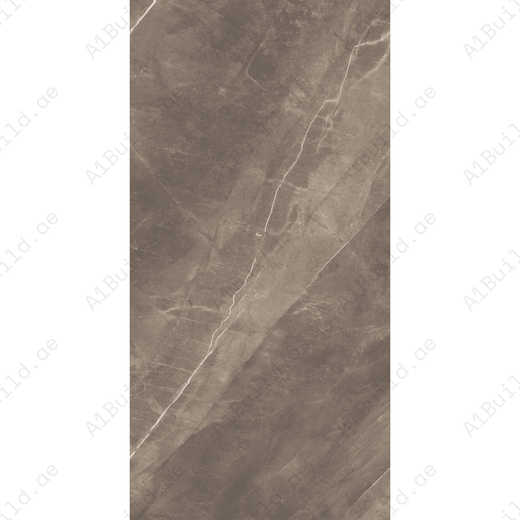 Armani Grey (60X120cm 09mm Random Glossy Porcelain Indoor Floor & Wall Tiles)
