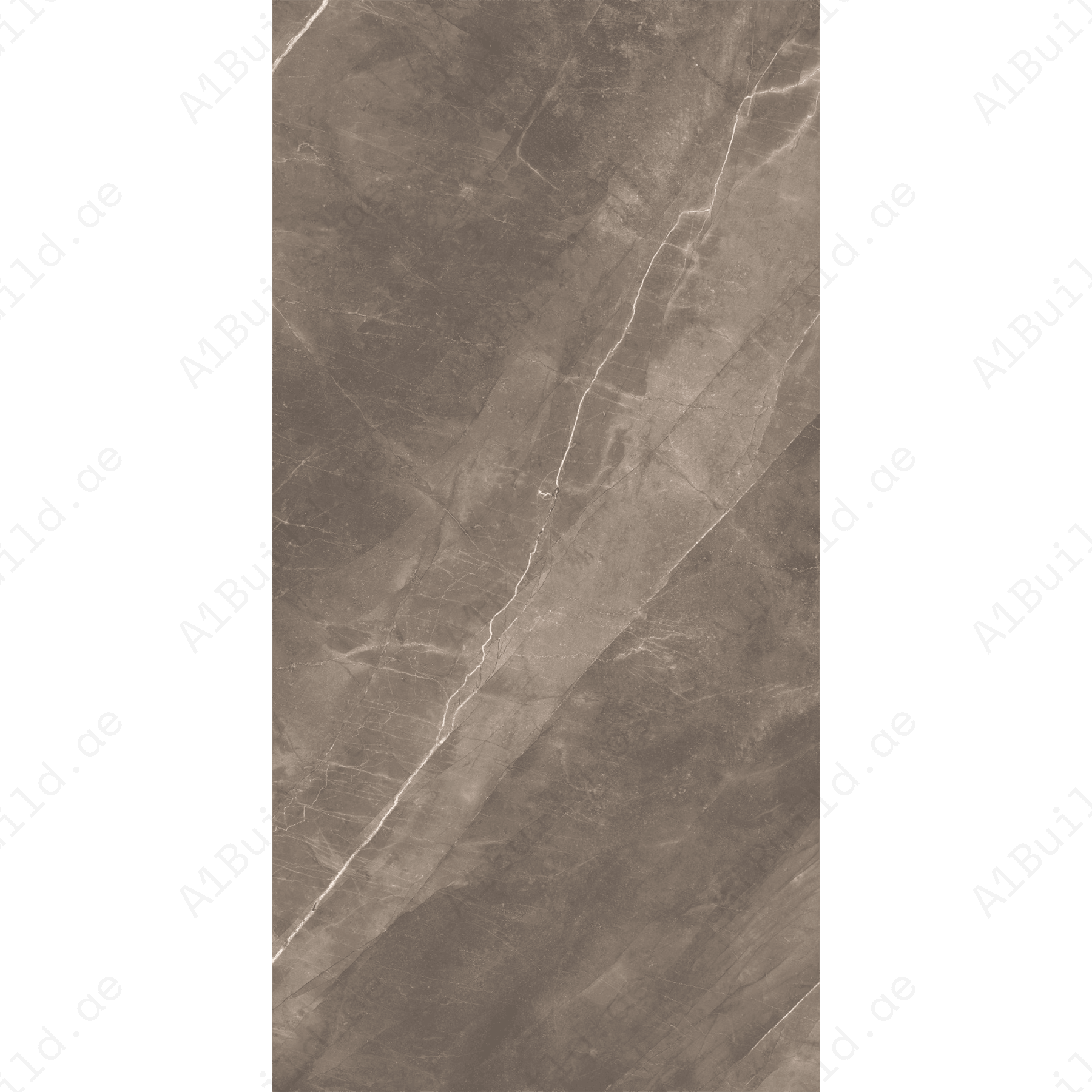 Armani Grey (60X120cm 09mm Random Glossy Porcelain Indoor Floor & Wall Tiles)