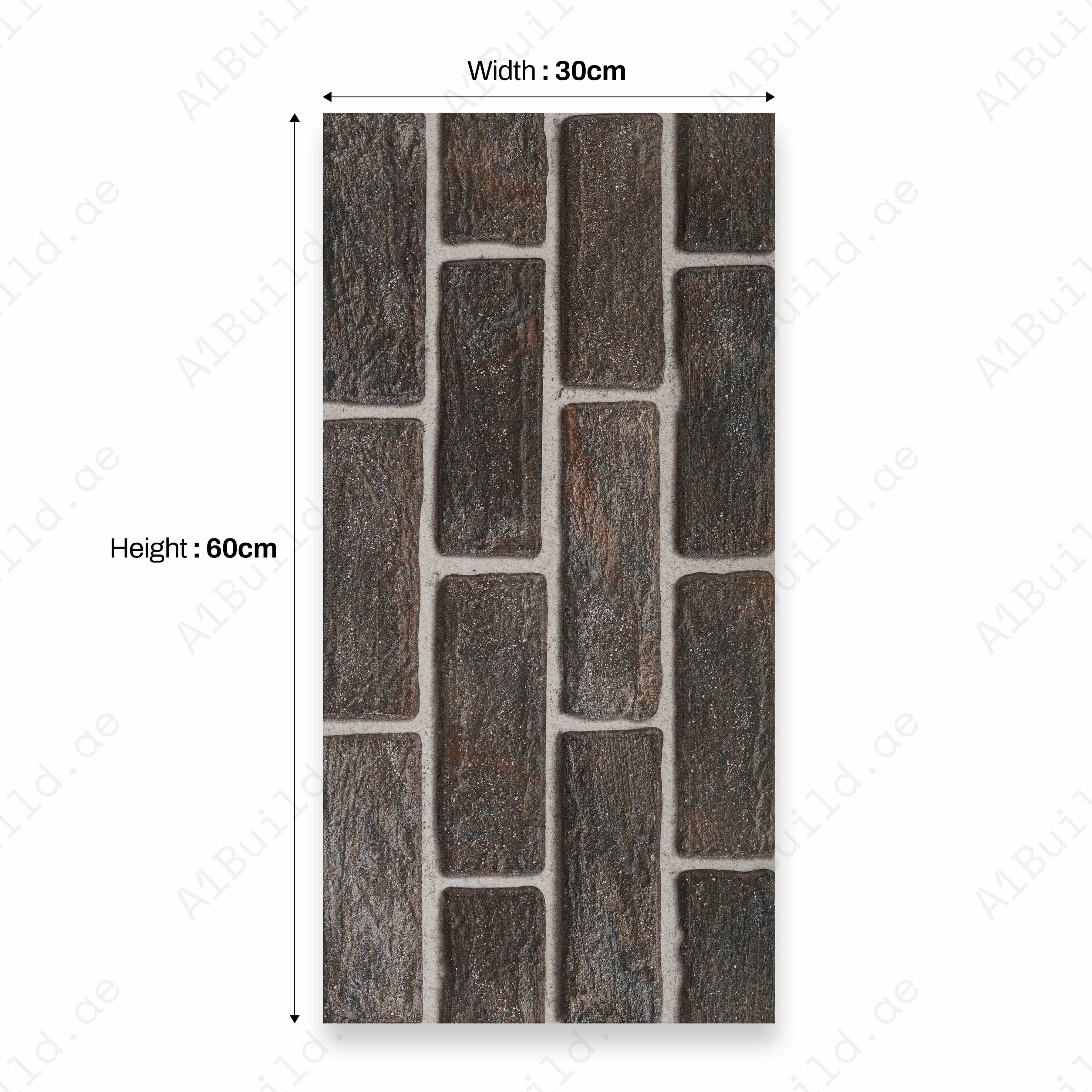 Austria 30x60 09mm Ceramic Indoor Outdoor Walls Tile-1a