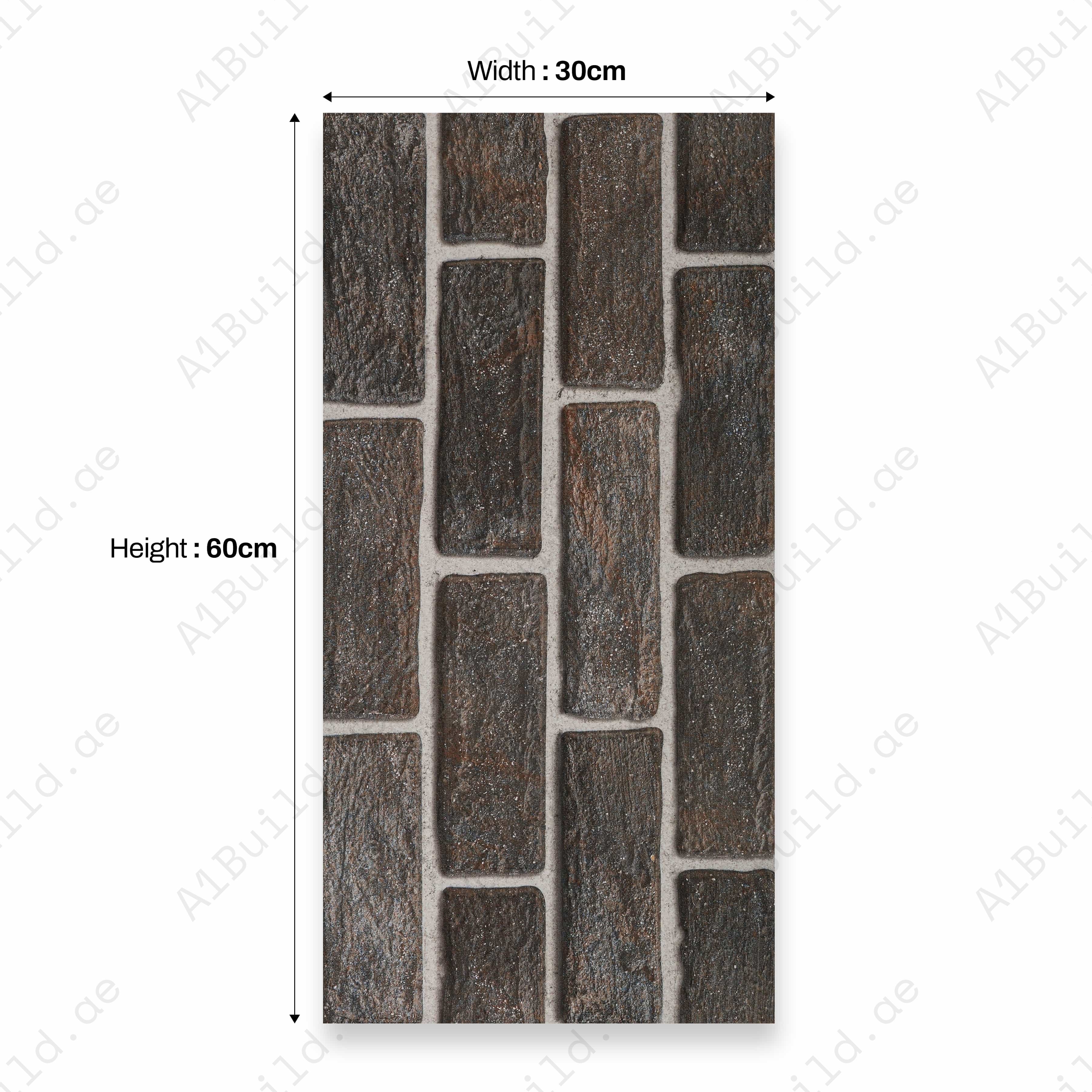Austria 30x60 09mm Ceramic Indoor Outdoor Walls Tile-1a