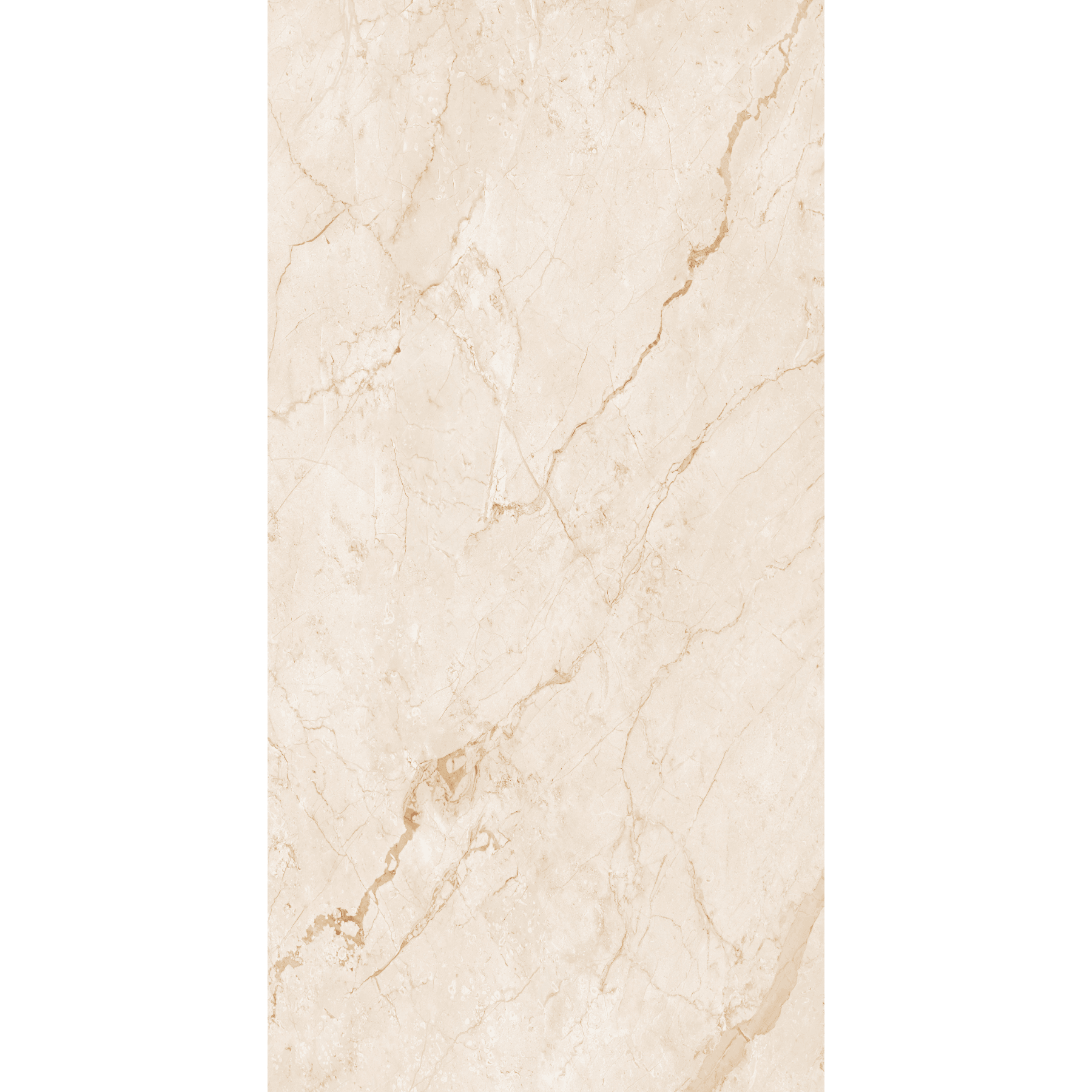 Breccia Oyster High Gloss Book Match Porcelain Slabs | 120x240cm Luxurious Beige Tiles
