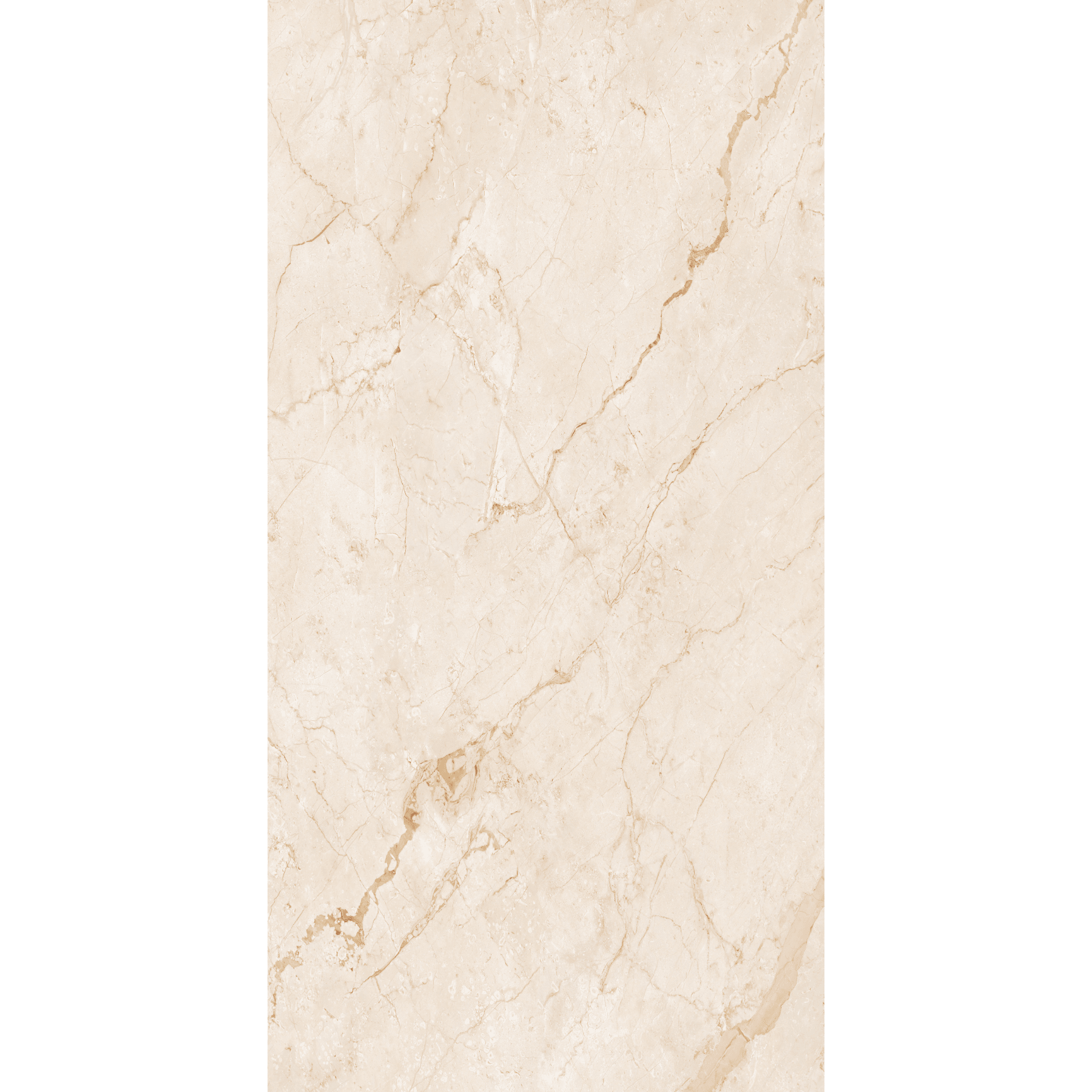 Breccia Oyster High Gloss Book Match Porcelain Slabs | 120x240cm Luxurious Beige Tiles
