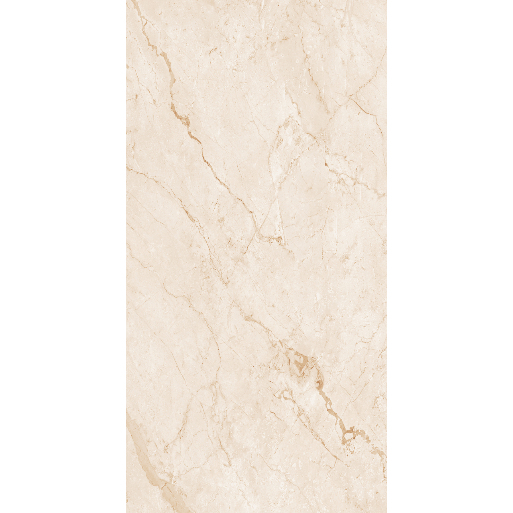 Breccia Oyster High Gloss Book Match Porcelain Slabs | 120x240cm Luxurious Beige Tiles