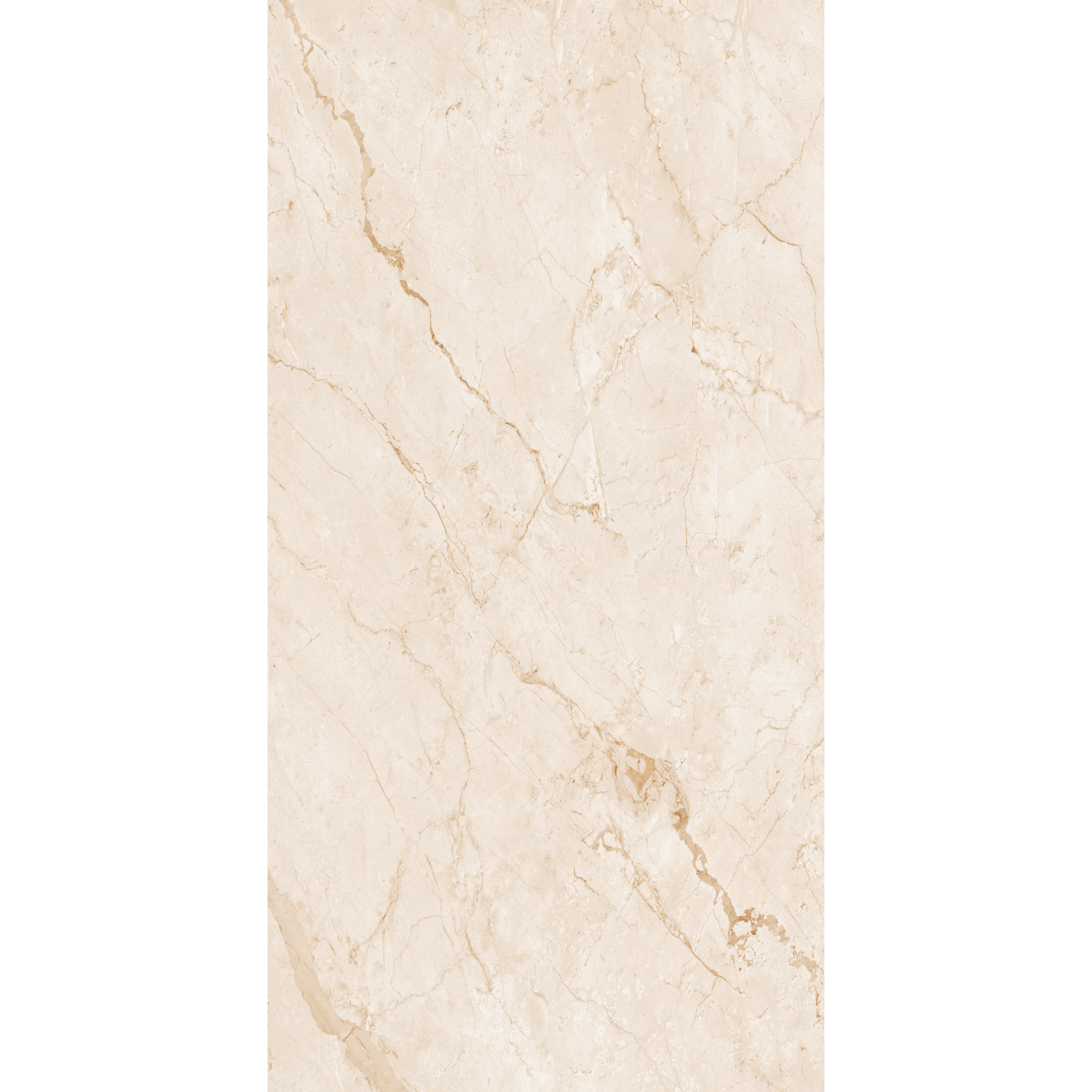 Breccia Oyster High Gloss Book Match Porcelain Slabs | 120x240cm Luxurious Beige Tiles