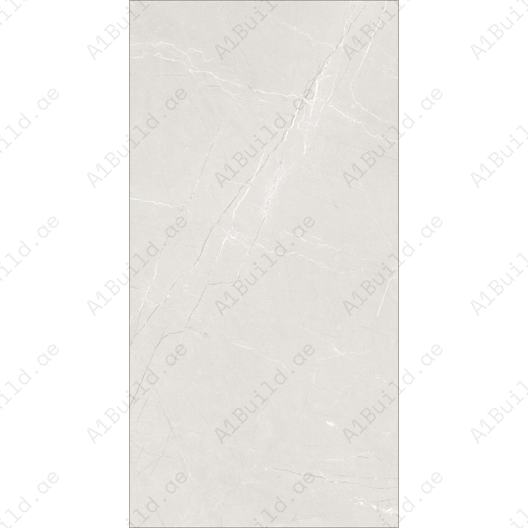 Brio Bianco (60X120cm 09mm Random Satin Matt Finish Porcelain Indoor Floor & Wall Tiles)