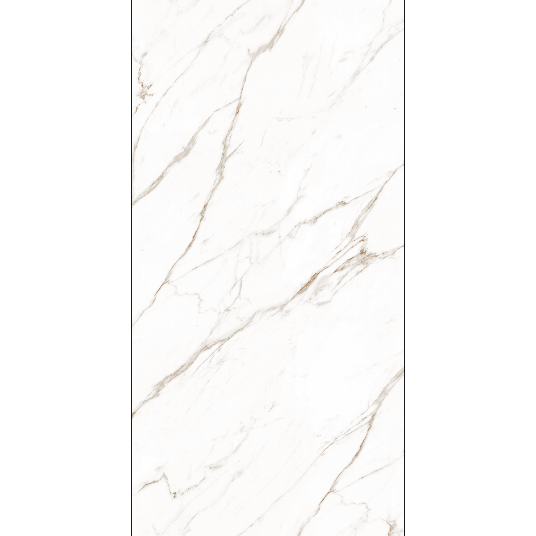 Calacatta Light (120X278cm High Gloss Book Match Porcelain Slabs)