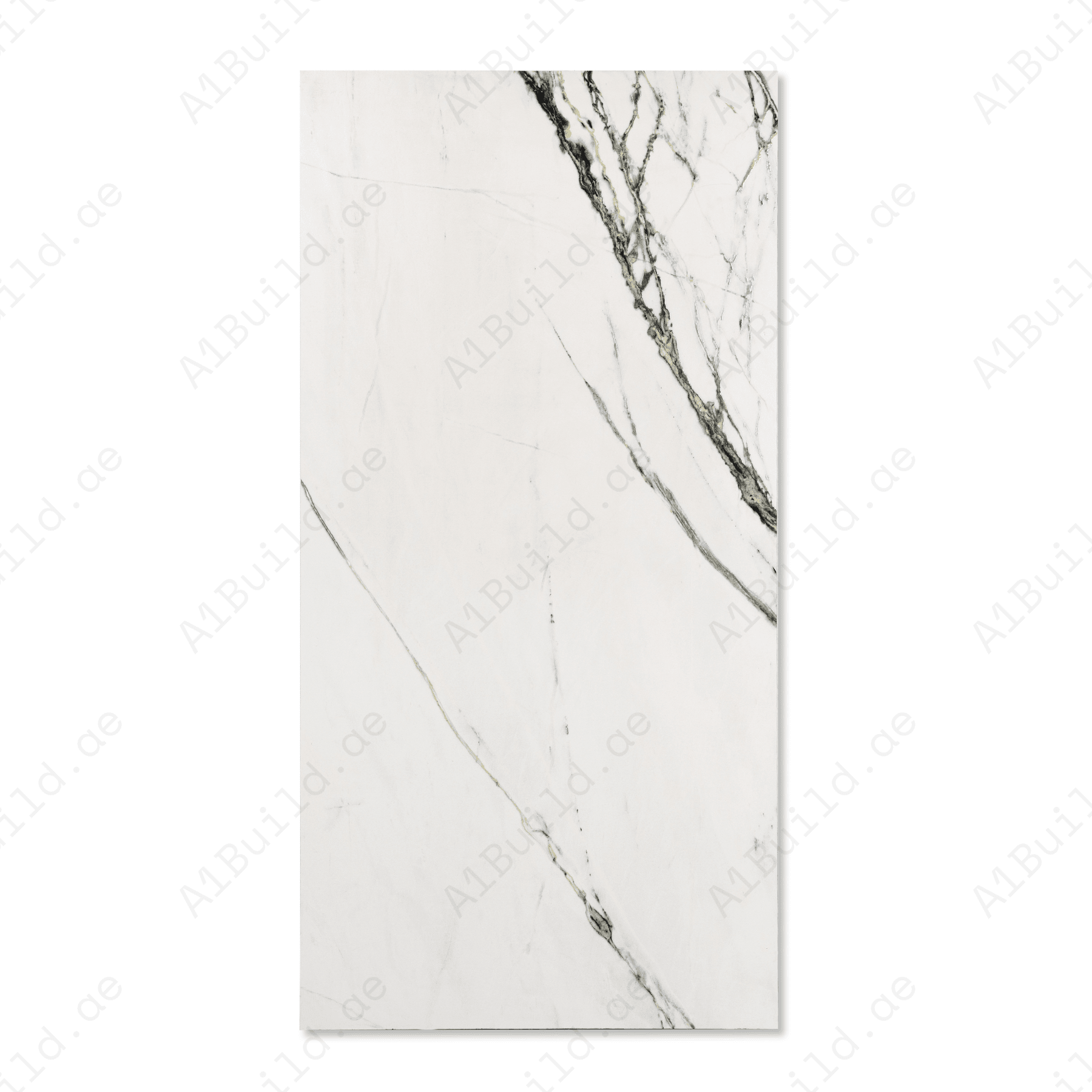 Calcutta Emerald porcelain tile 60x120cm 9mm thickness, white marble look with green veining, durable porcelain tile for luxury floors and walls.