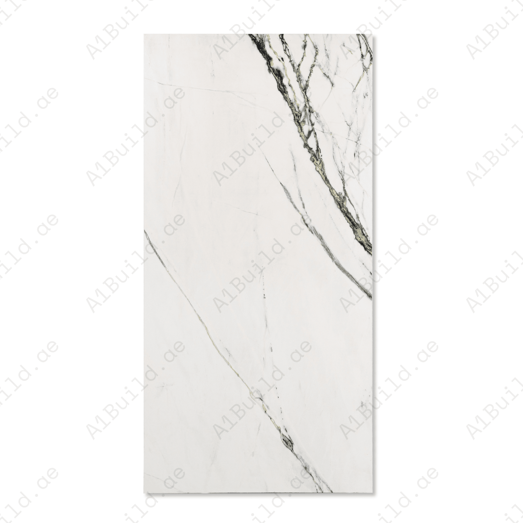 Calcutta Emerald porcelain tile 60x120cm 9mm thickness, white marble look with green veining, durable porcelain tile for luxury floors and walls.