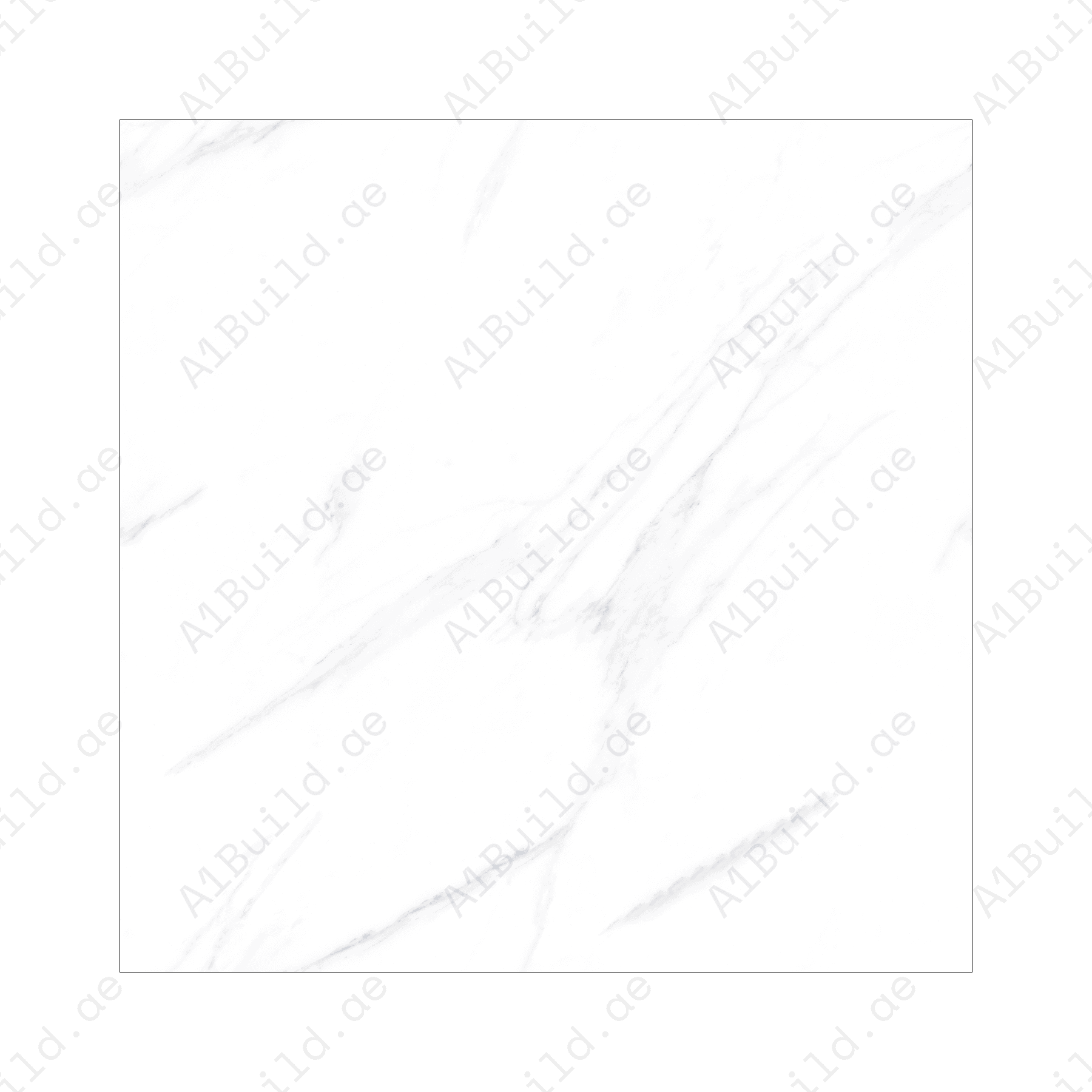 Elite White (120X120cm 09mm Random Polished Porcelain Tiles for Indoor Spaces)