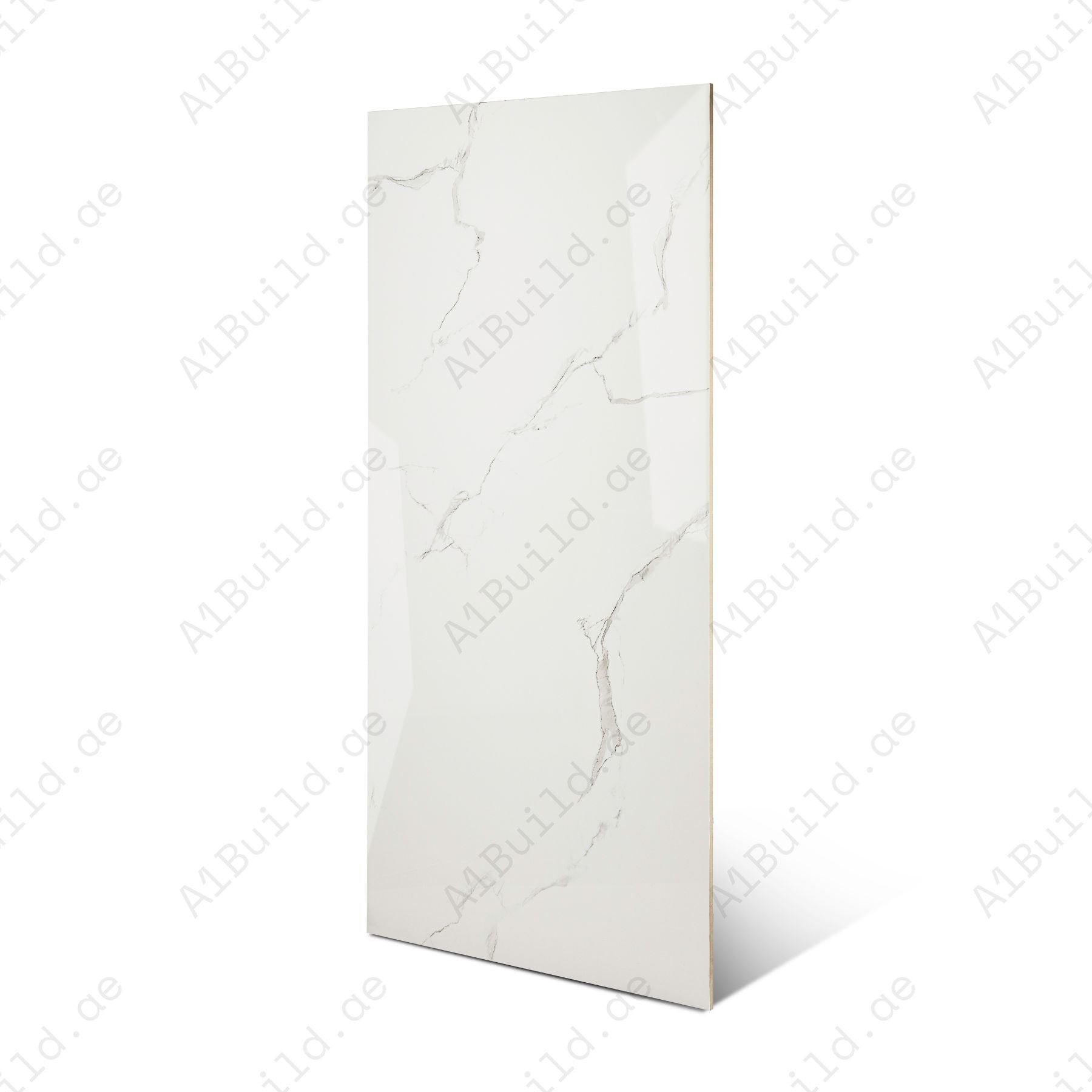 Eterna White glossy marble effect porcelain tile 60x120cm with 9mm thickness features bright white base, soft grey veins and polished finish.