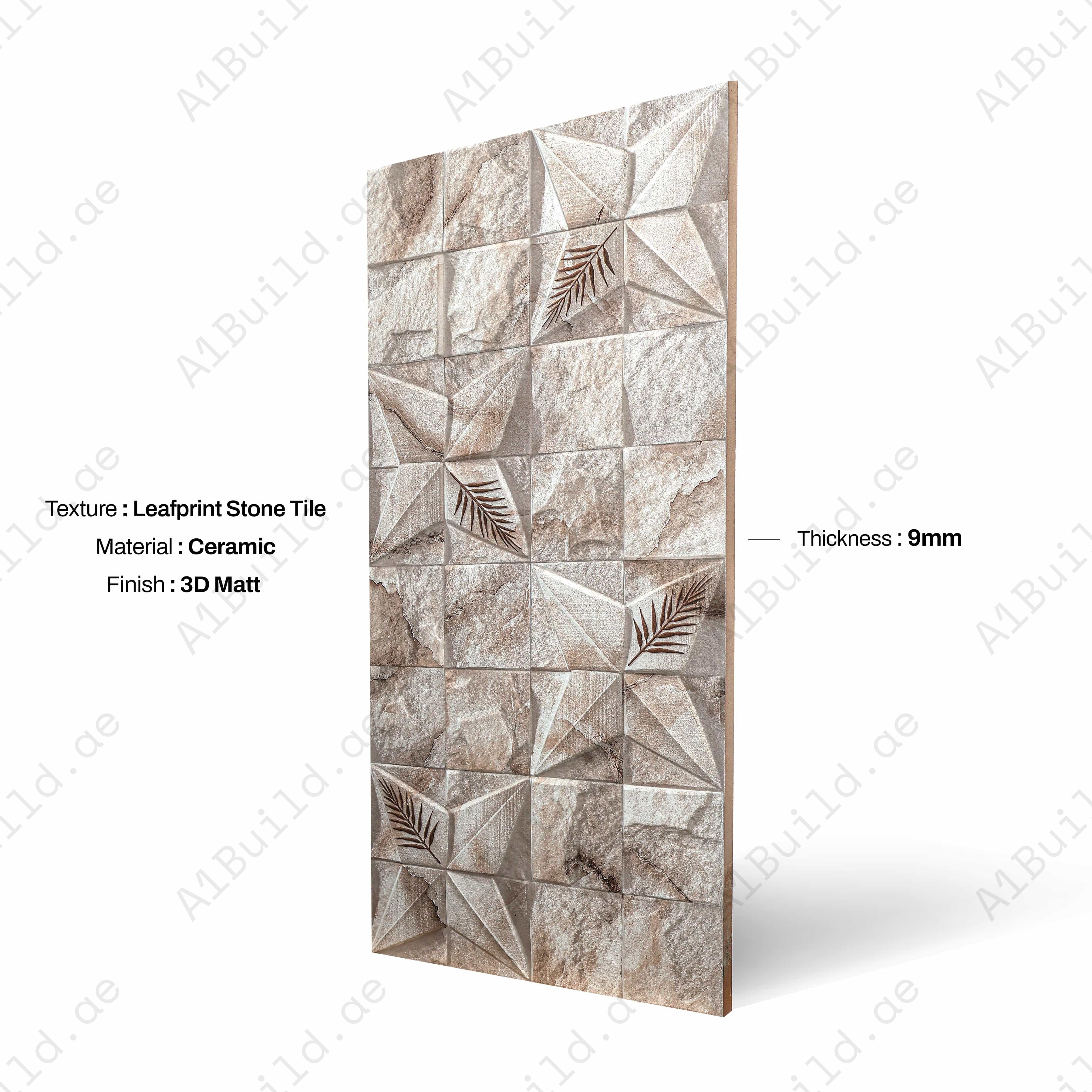 FERN ONYX 30x60cm Ceramic Indoor Outdoor Wall Tile-1