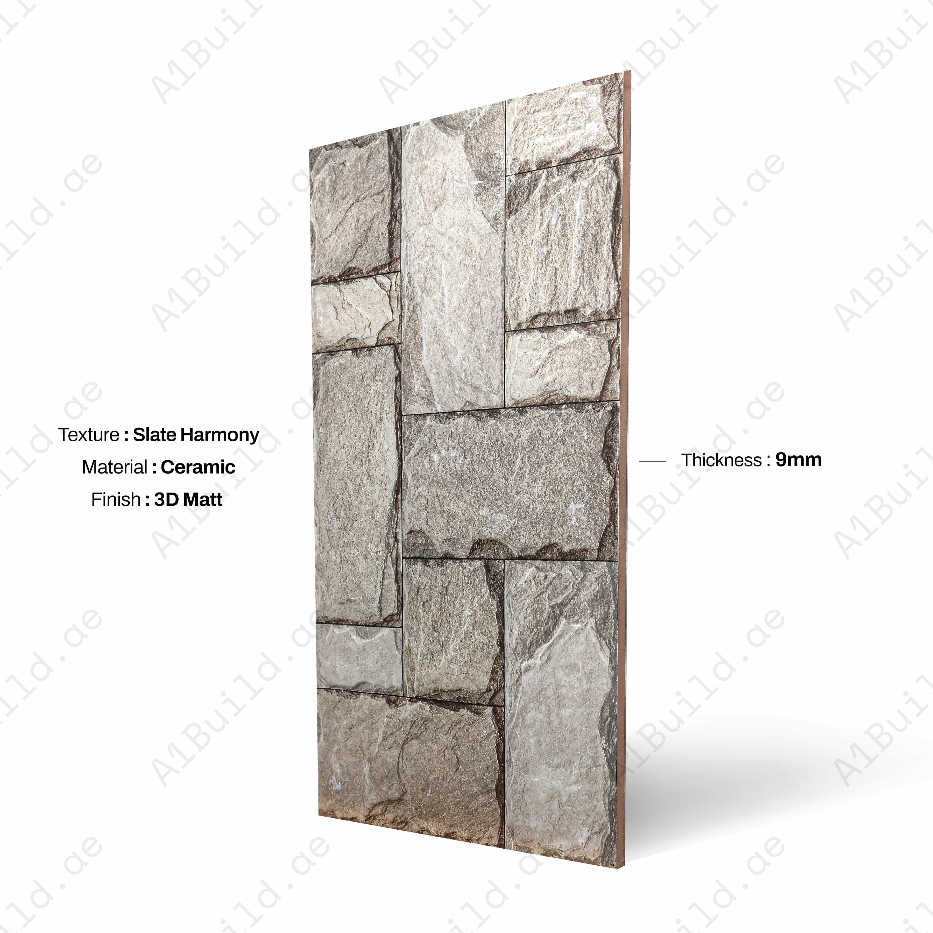 FR BAIGE 30x60cm Ceramic Indoor Outdoor Walls Ttileb