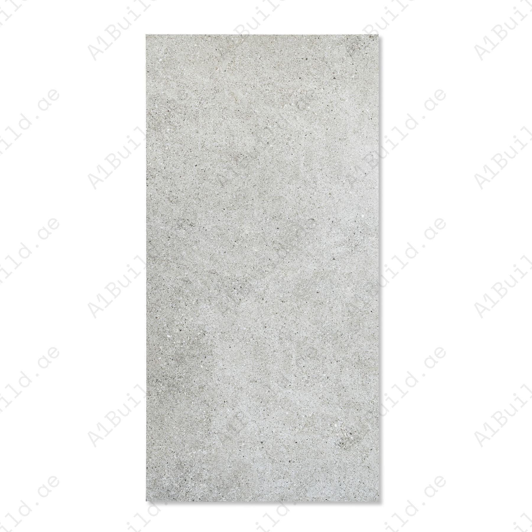 Gritoss Grey porcelain tile 60x120cm 9mm thick with raw cement look, designed for modern floor and wall applications with strong performance.