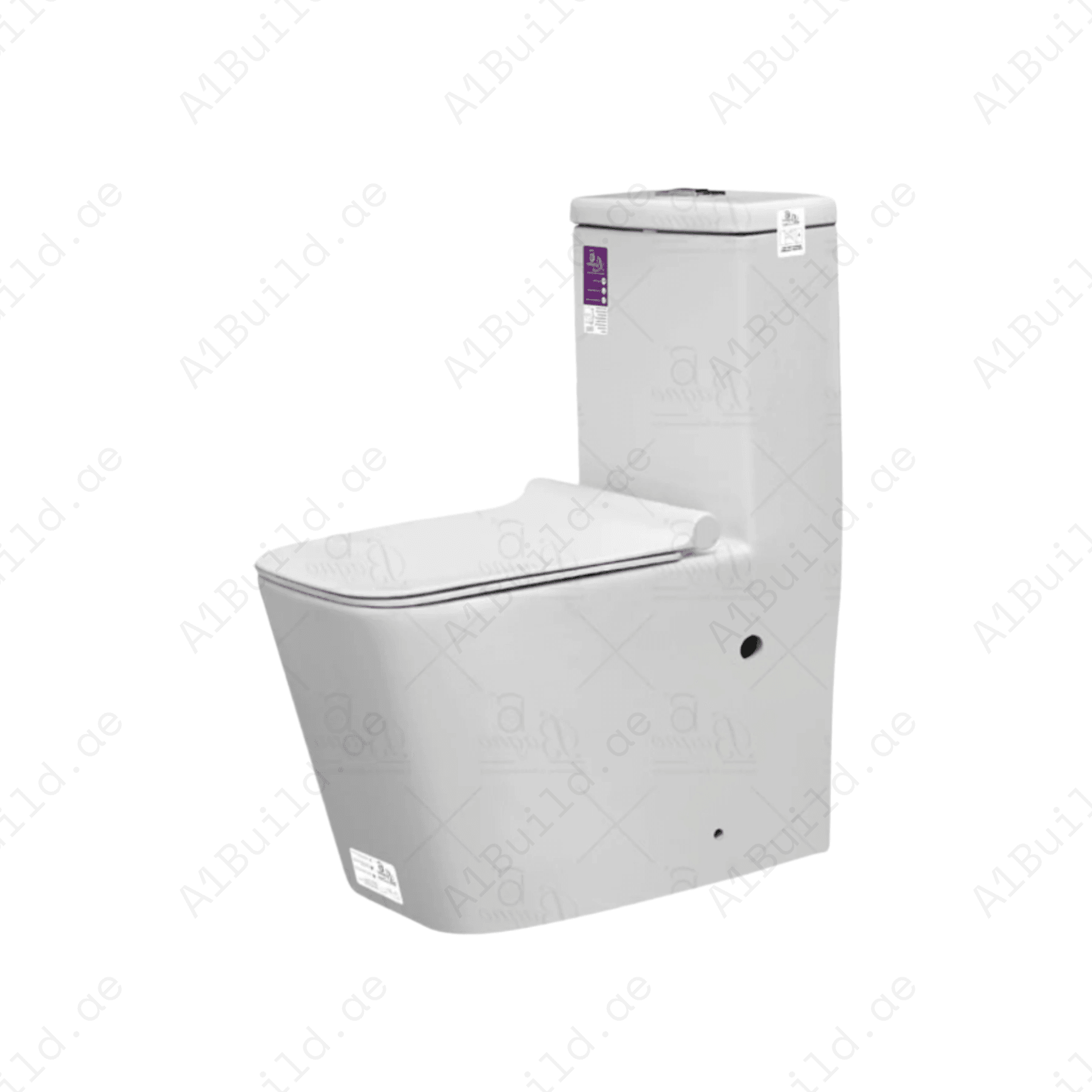 High-QualityWhiteWaterClosetwith250mmS-TrapforModernHomes_2