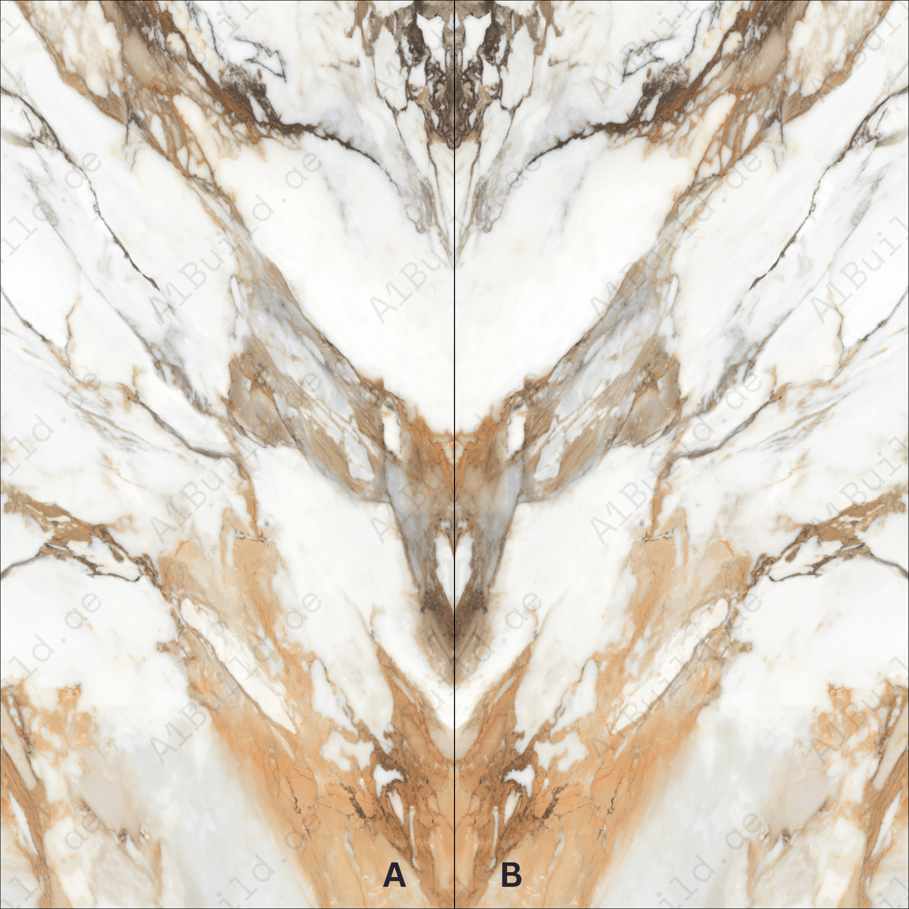 Machia Vechia High Gloss Book Match Porcelain Slabs | 120x240cm