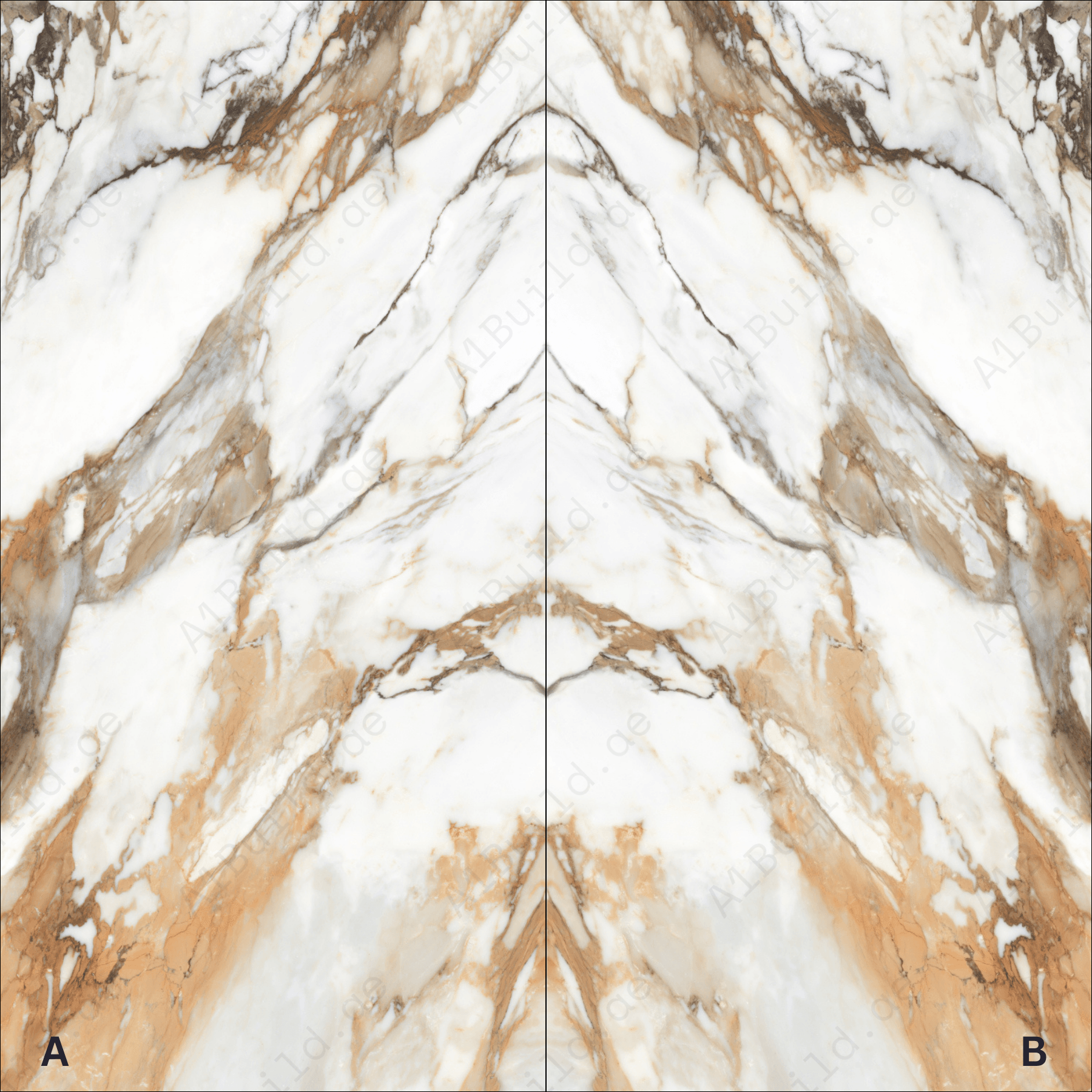 Machia Vechia High Gloss Book Match Porcelain Slabs | 120x240cm