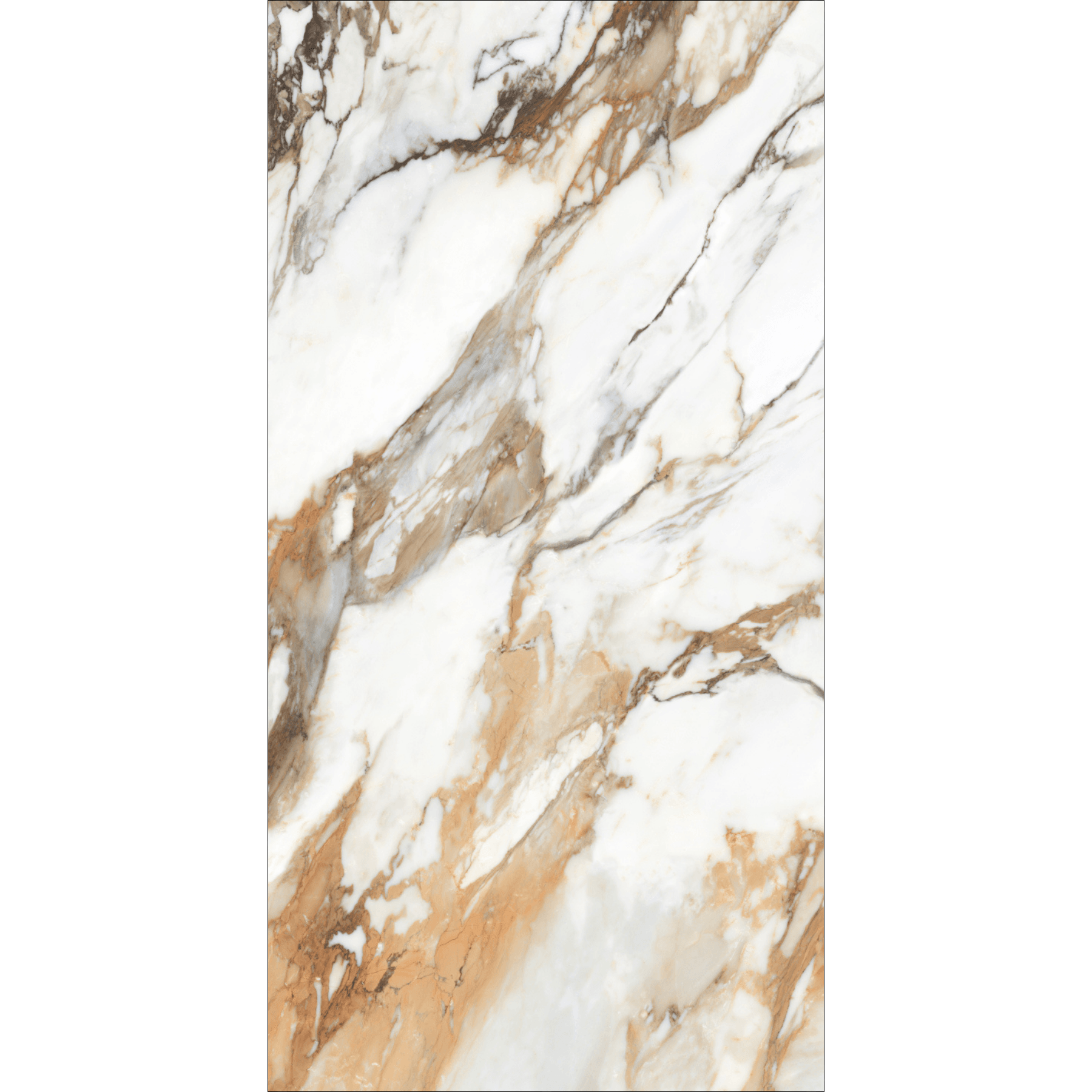 Machia Vechia High Gloss Book Match Porcelain Slabs | 120x240cm