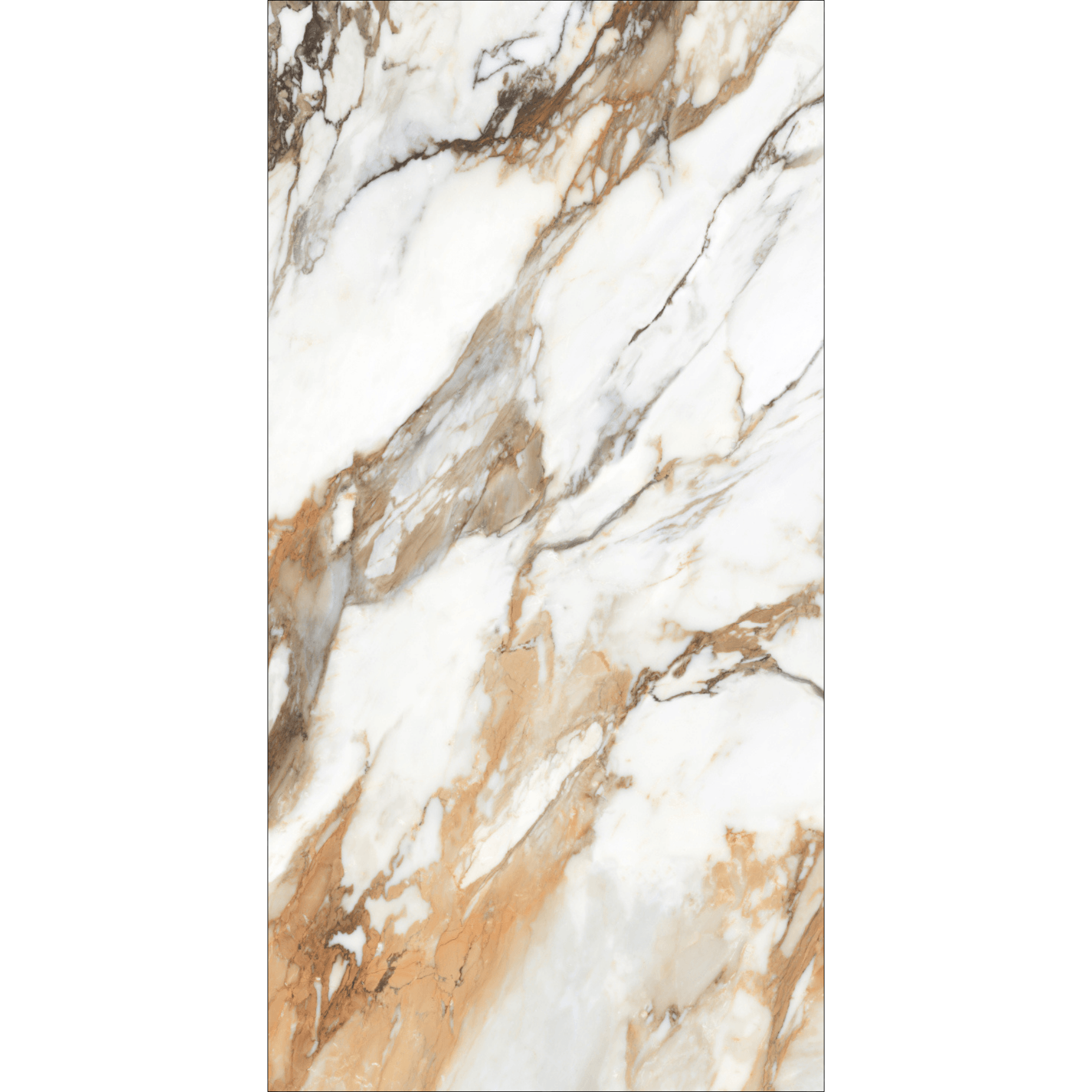 Machia Vechia High Gloss Book Match Porcelain Slabs | 120x240cm