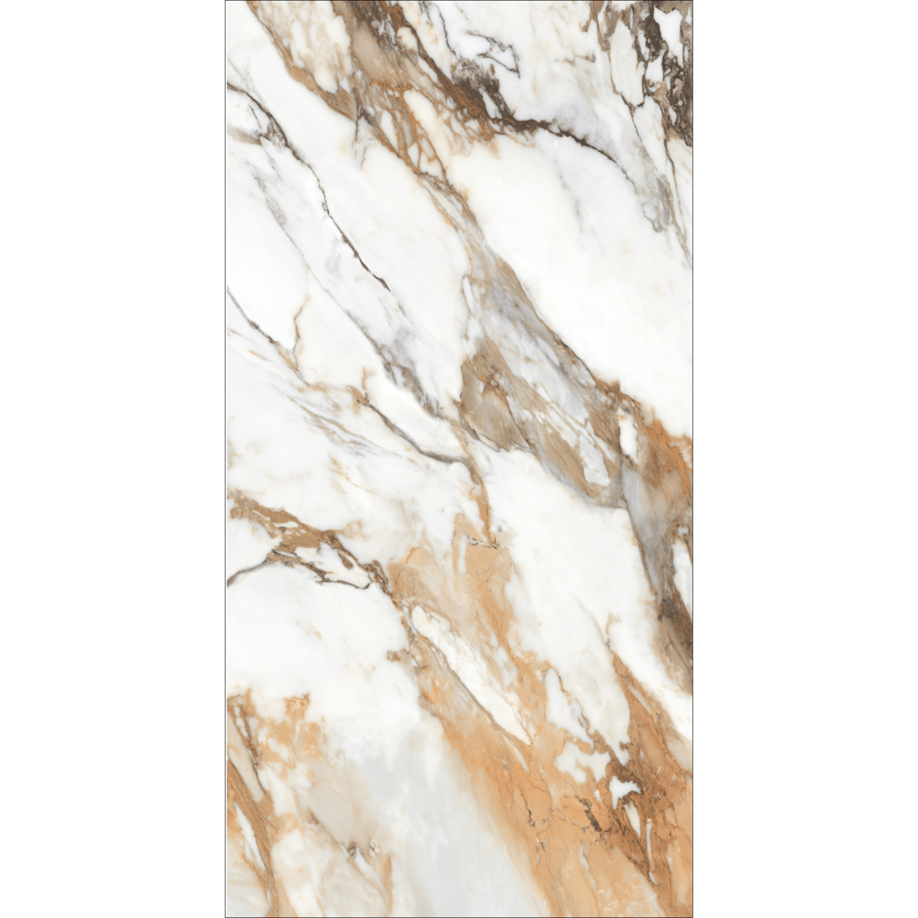 Machia Vechia High Gloss Book Match Porcelain Slabs | 120x240cm
