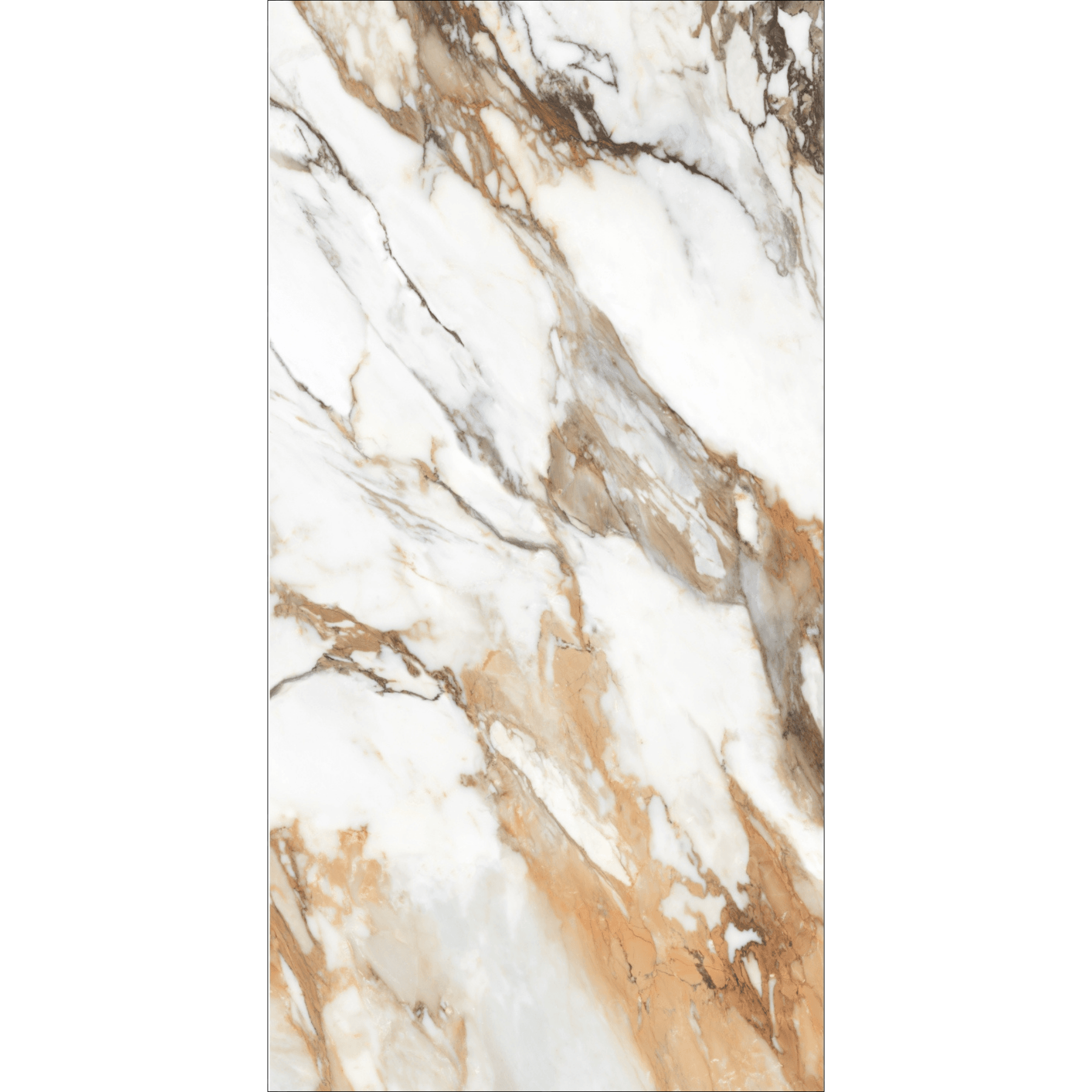 Machia Vechia High Gloss Book Match Porcelain Slabs | 120x240cm
