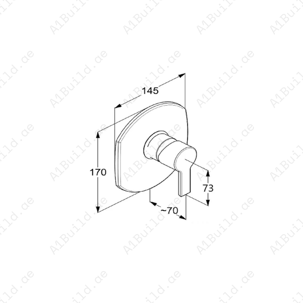PASSION Concealed Single Lever Shower Mixer Trim Set