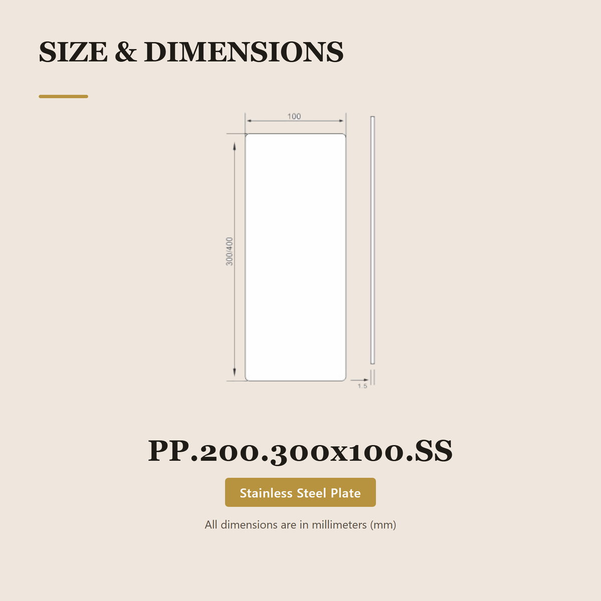 PP.200.300x100.SS premium stainless steel push plate from the Stainless Steel Door Handle Series. 100 x 300 mm stainless steel push plate, Blank, no marking. Built for smooth, reliable everyday use.