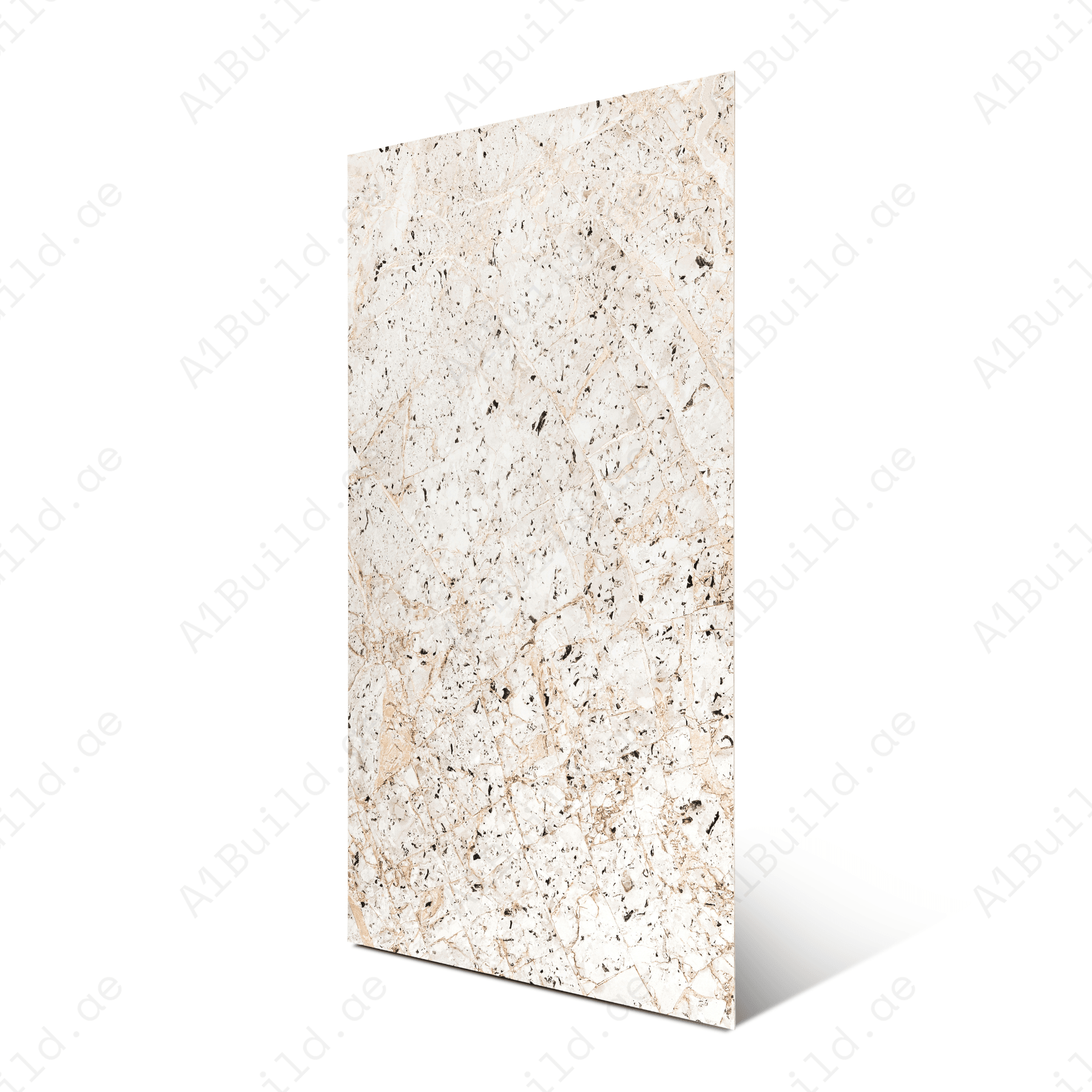 Portofino porcelain tile 60x120cm with 9mm thickness features a classic marble look, durable porcelain body, premium finish for floors and walls.