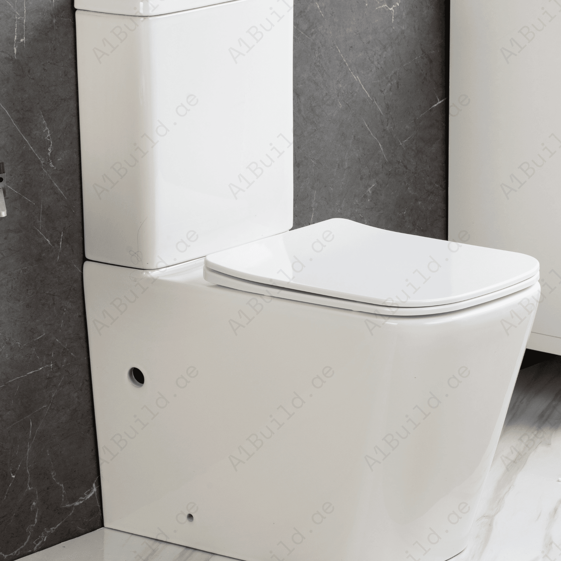RIMLESS CLOSE COUPLED WC PAN, 610*365*810 MM, WHITE. STEINHEIM –UP: CISTERN WITH LID WITH GEBERIT MECHANISM, WHITE. STEINHEIM –UP: DUROPLAST SOFT- CLOSING SEAT AND COVER, WHITE.