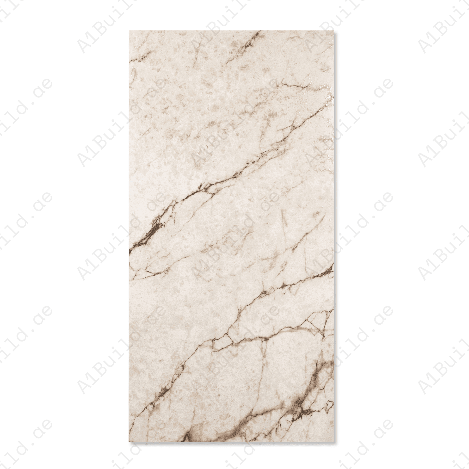 Rociado porcelain tile 60x120cm 9mm thickness, light grey marble look design, durable porcelain tile ideal for modern floors and walls.