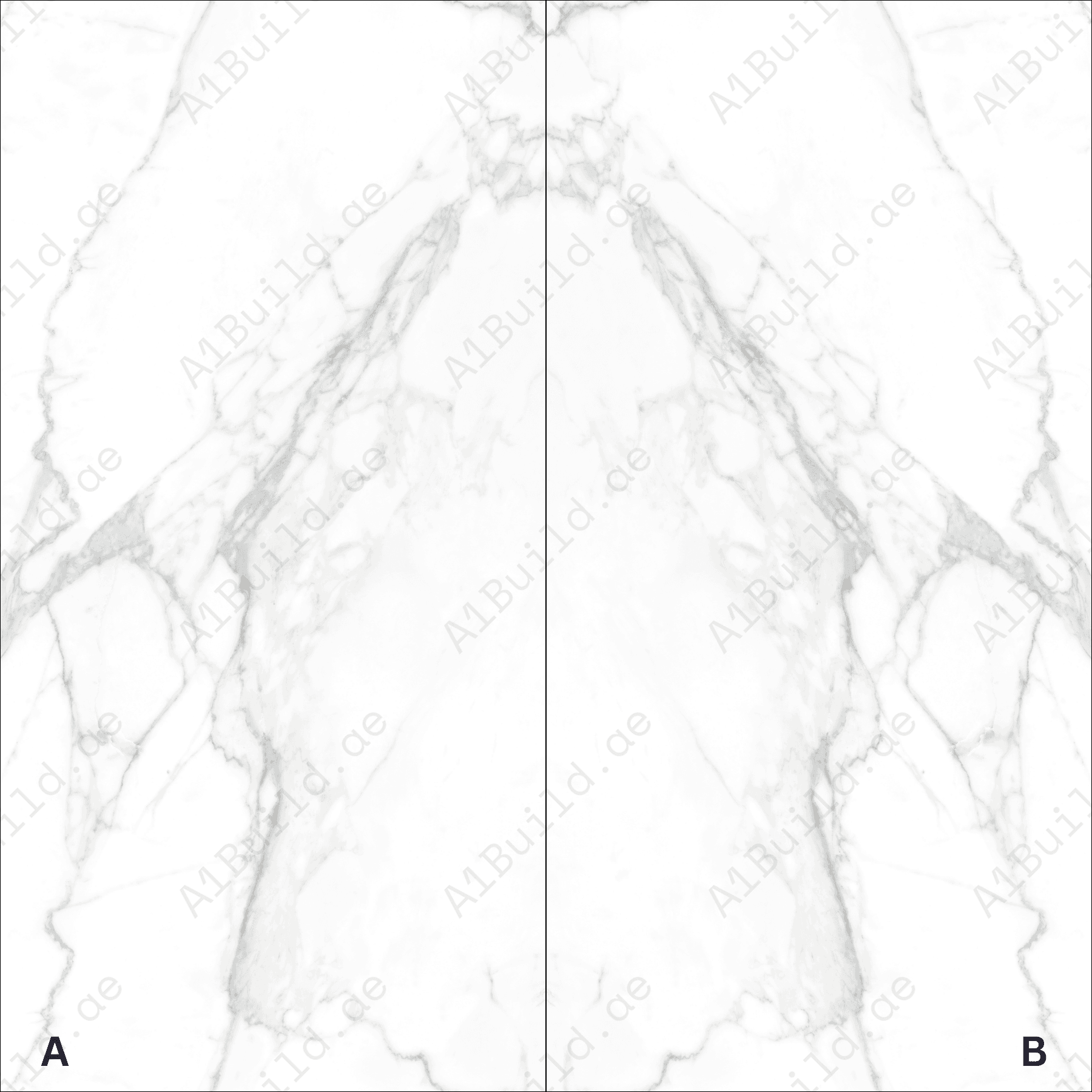 Statuario Vivian High Gloss Porcelain Slabs | 120x240cm White & Grey Tiles for Luxurious Interiors