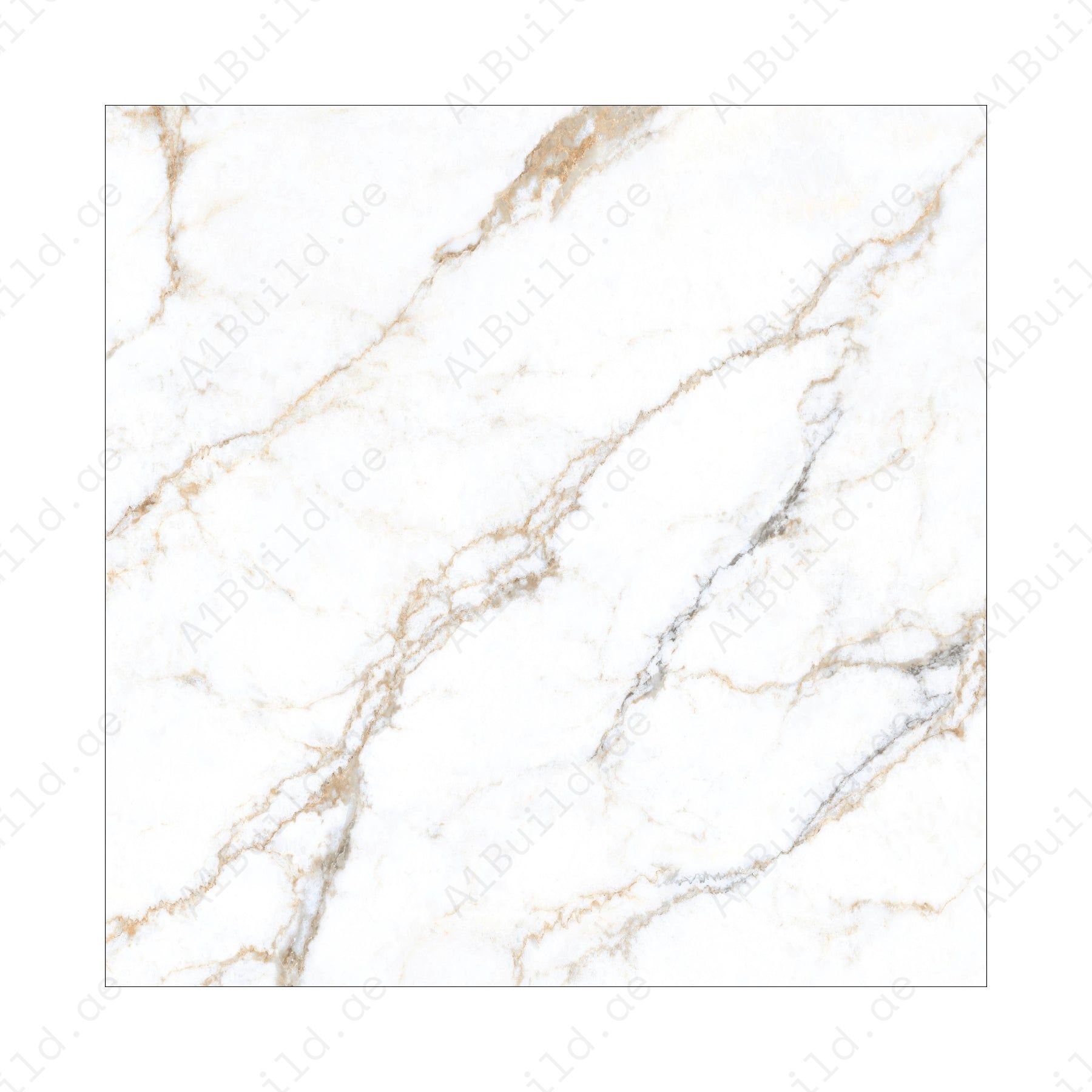 Signora (120X120cm 09mm Random Polished Porcelain Tiles for Indoor Spaces)