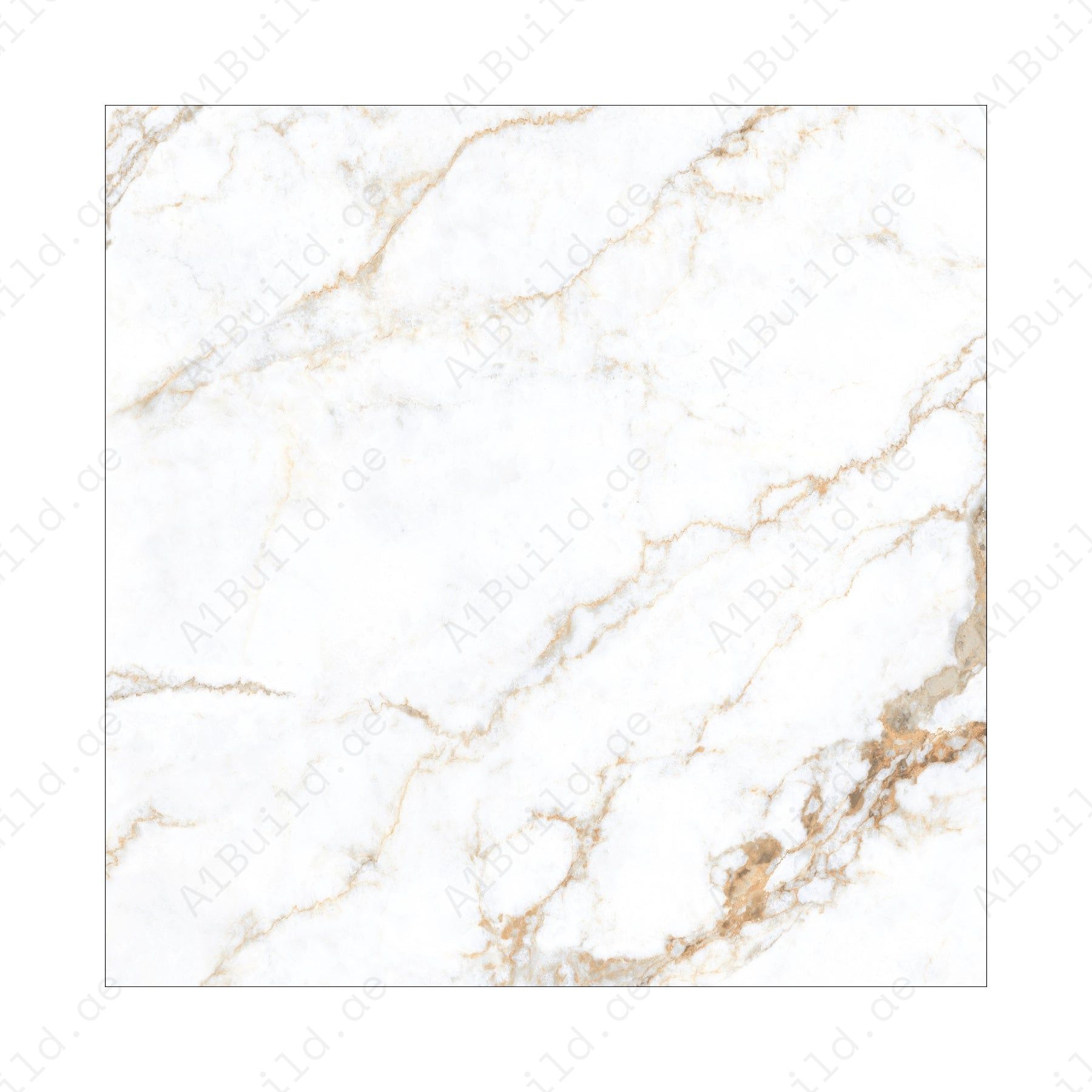 Signora (120X120cm 09mm Random Polished Porcelain Tiles for Indoor Spaces)