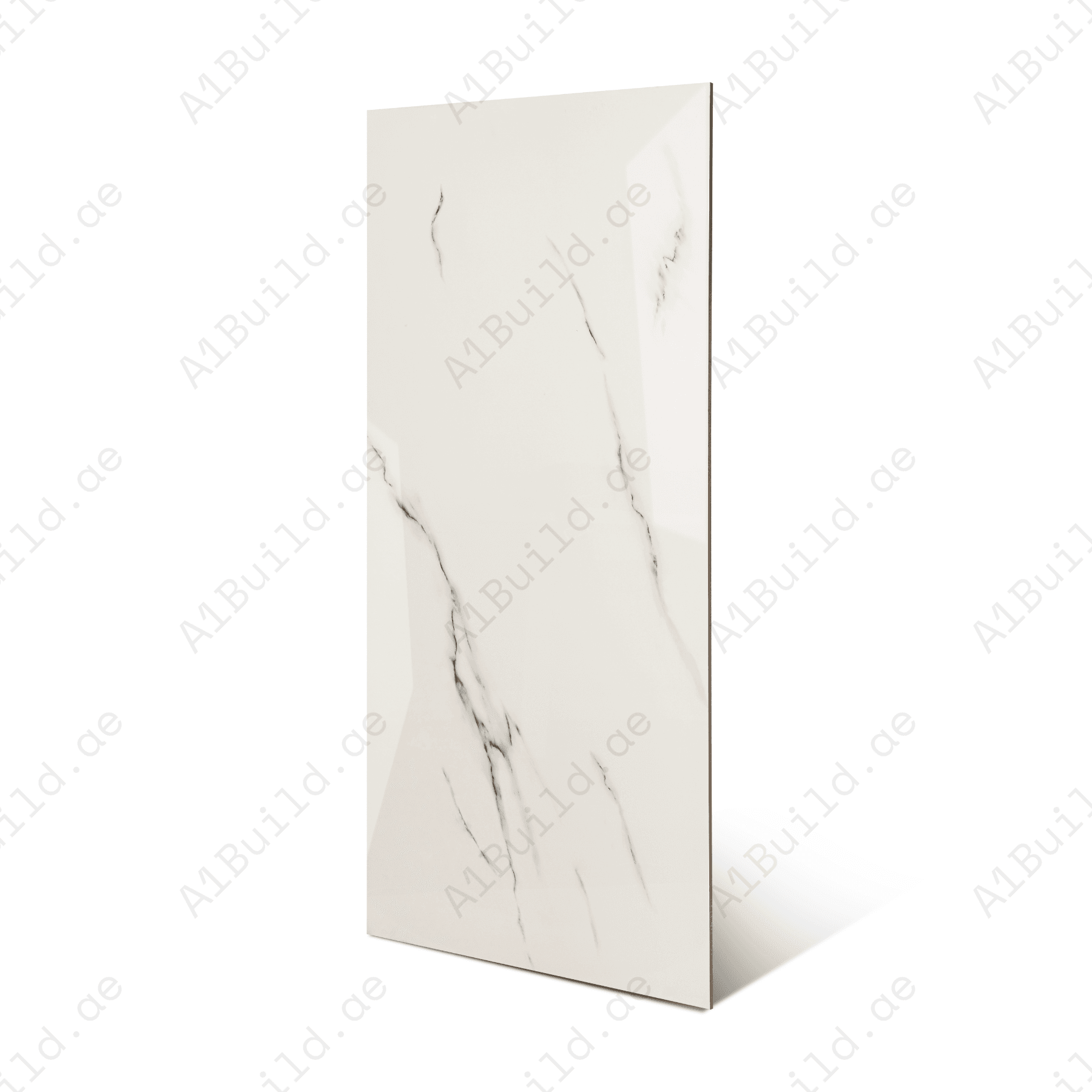 Silver Mist Vein porcelain tile 60x120cm 9mm thickness, light grey marble look design, durable porcelain tile for modern floors and walls.