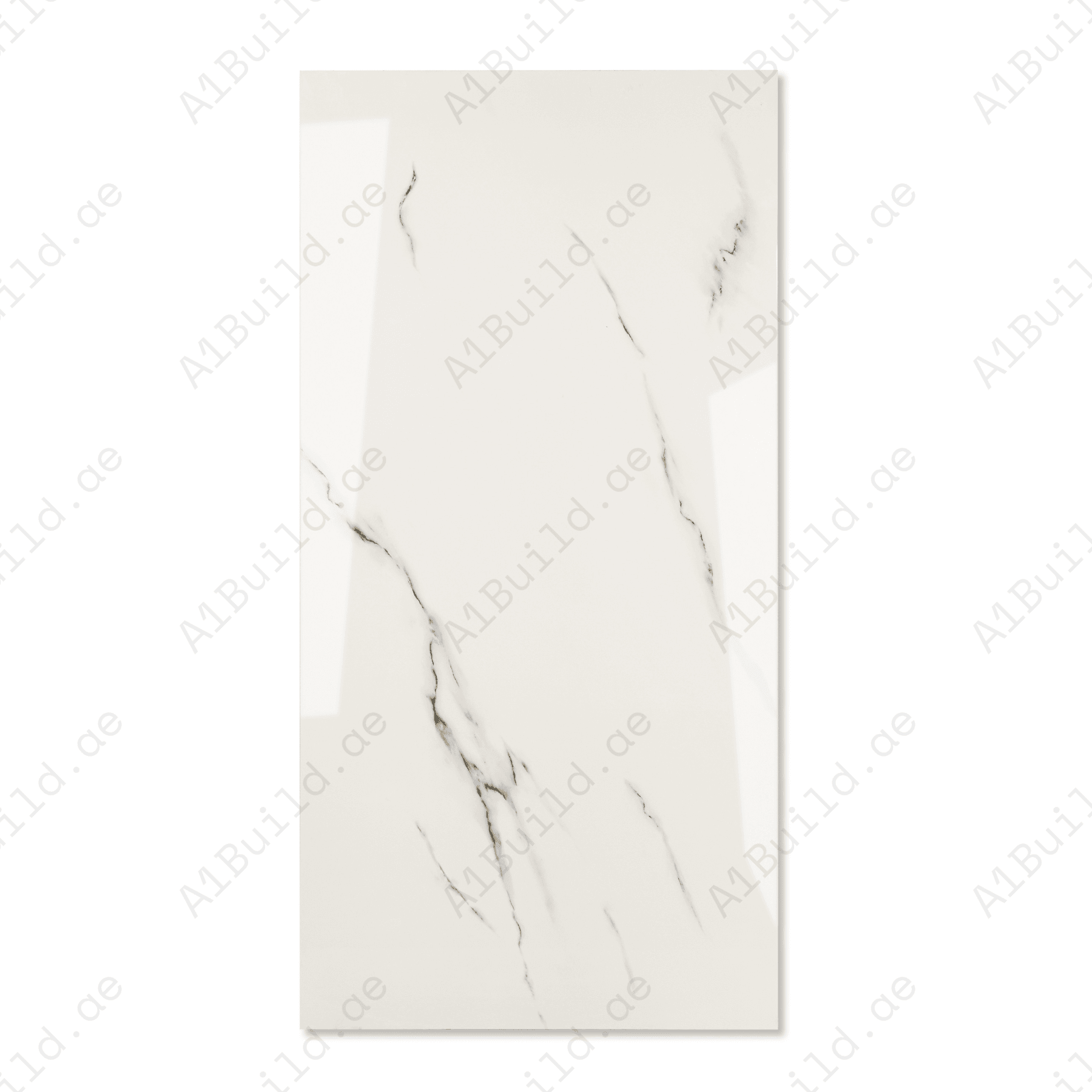 Silver Mist Vein porcelain tile 60x120cm 9mm thickness, light grey marble look design, durable porcelain tile for modern floors and walls.