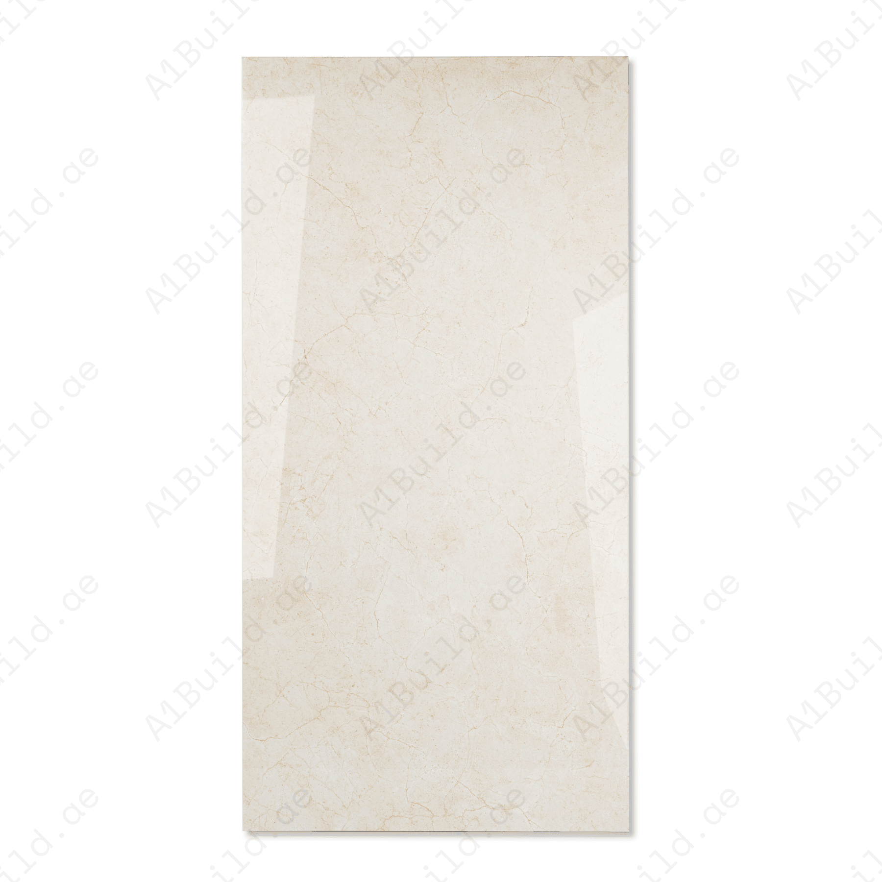 Silver Veil porcelain tile 60x120cm 9mm thickness, marble look design, durable porcelain, ideal for floors and walls in modern interiors.