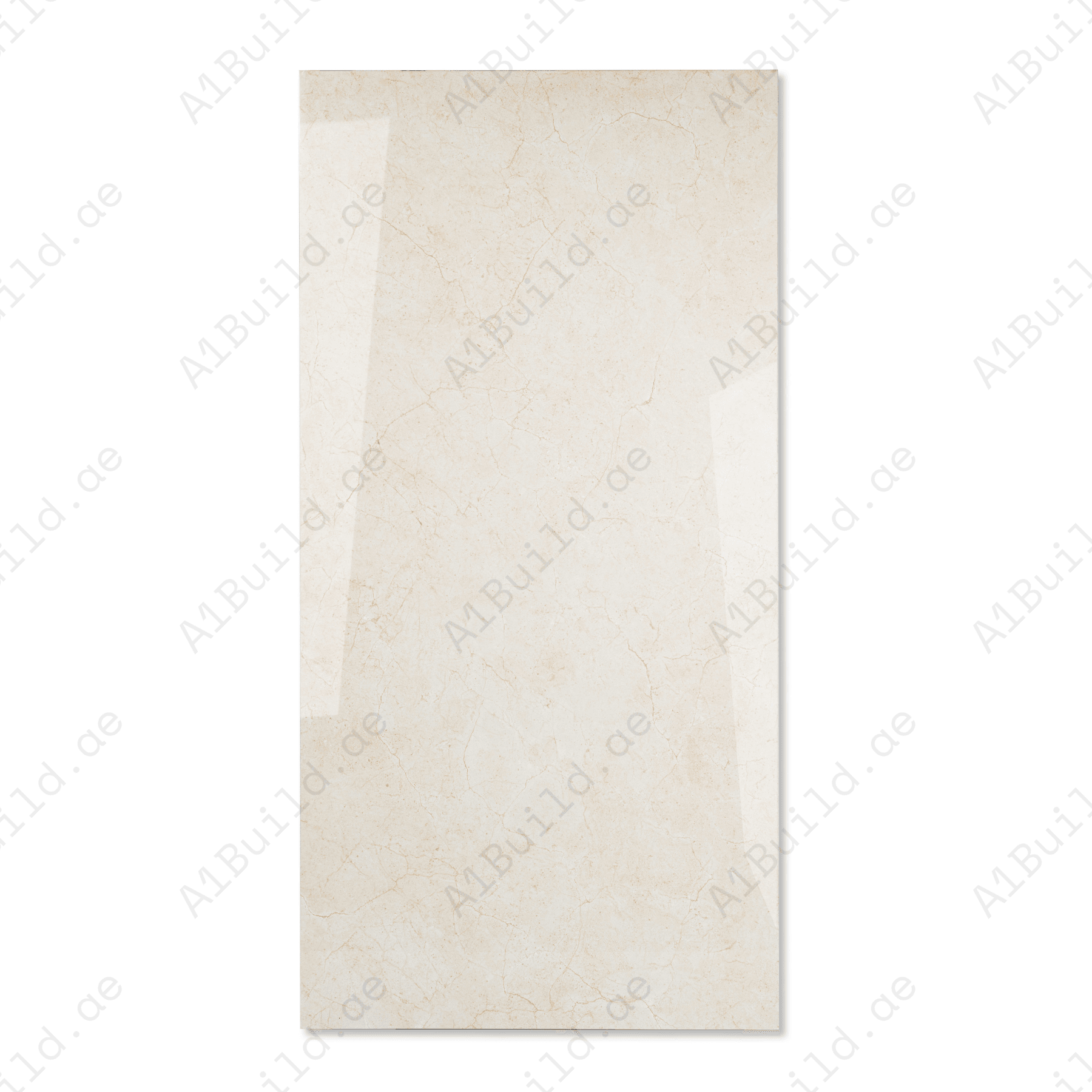 Silver Veil porcelain tile 60x120cm 9mm thickness, marble look design, durable porcelain, ideal for floors and walls in modern interiors.