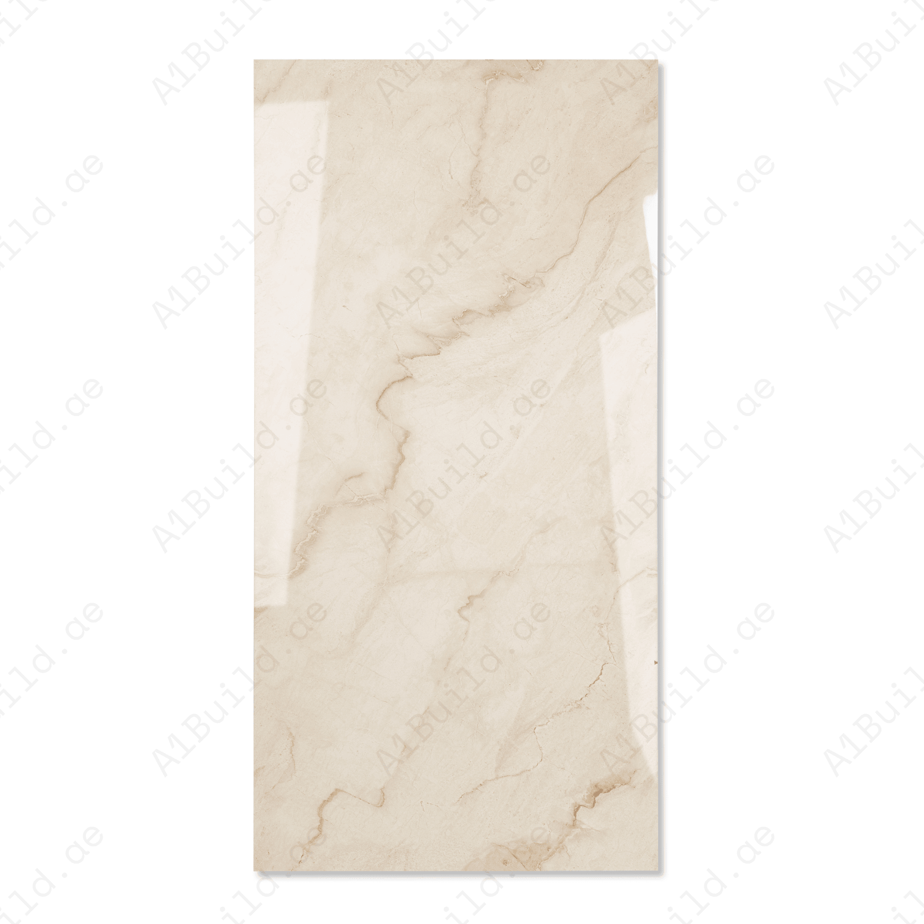 Silver Vein Luxe porcelain tile 60x120cm 9mm thickness, grey marble look design, durable porcelain tile for elegant floors and walls.