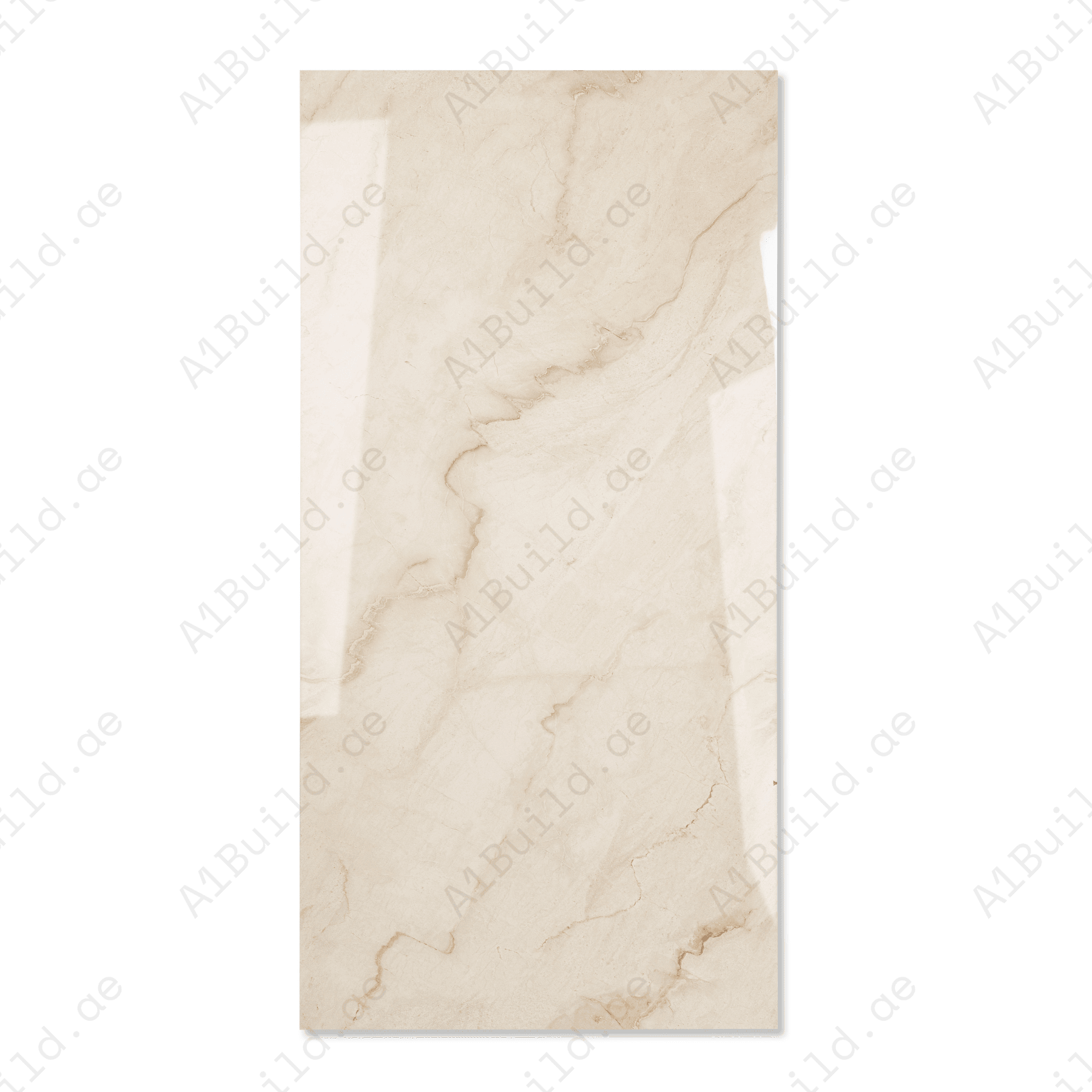Silver Vein Luxe porcelain tile 60x120cm 9mm thickness, grey marble look design, durable porcelain tile for elegant floors and walls.