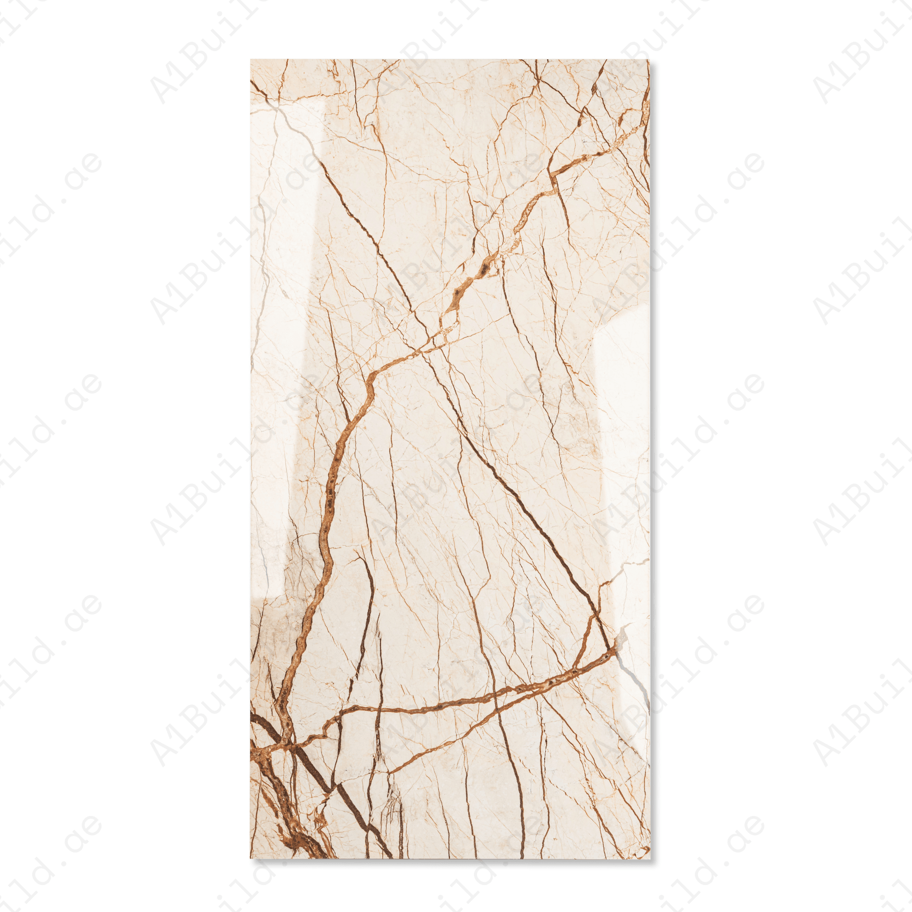Sofitel porcelain tile 60x120cm 9mm thickness, marble look design, durable porcelain tile ideal for stylish floors and walls.