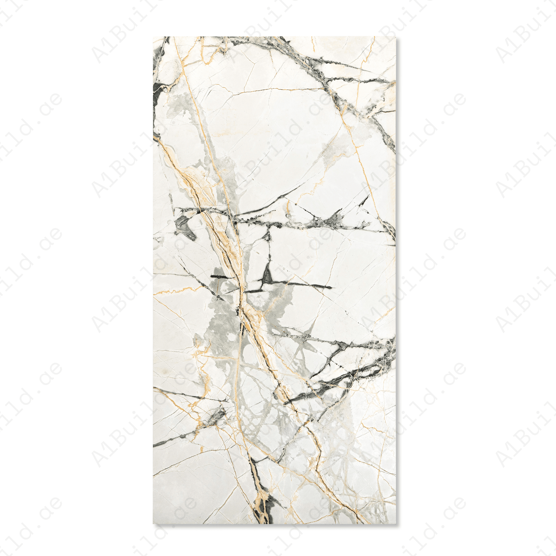 Thunder Bianco porcelain tile 60x120cm with 9mm thickness features a bold marble look, durable porcelain body, premium finish for floors and walls.