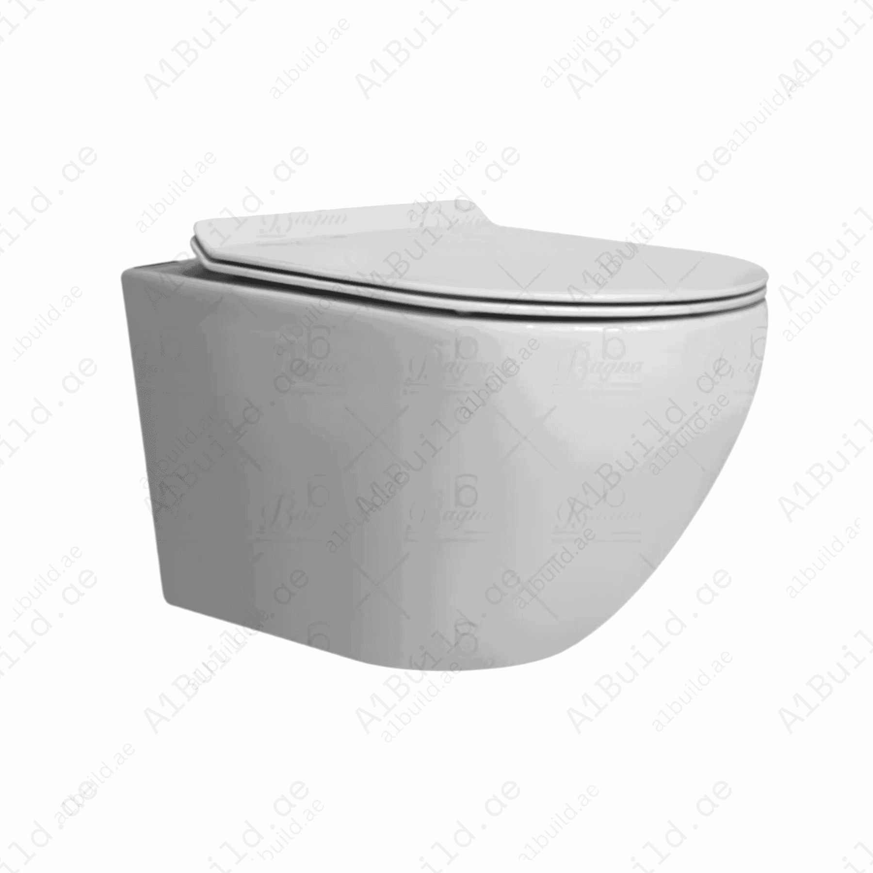 WallHungWaterClosetPremiumQualityWhiteContemporaryBathroomFixture